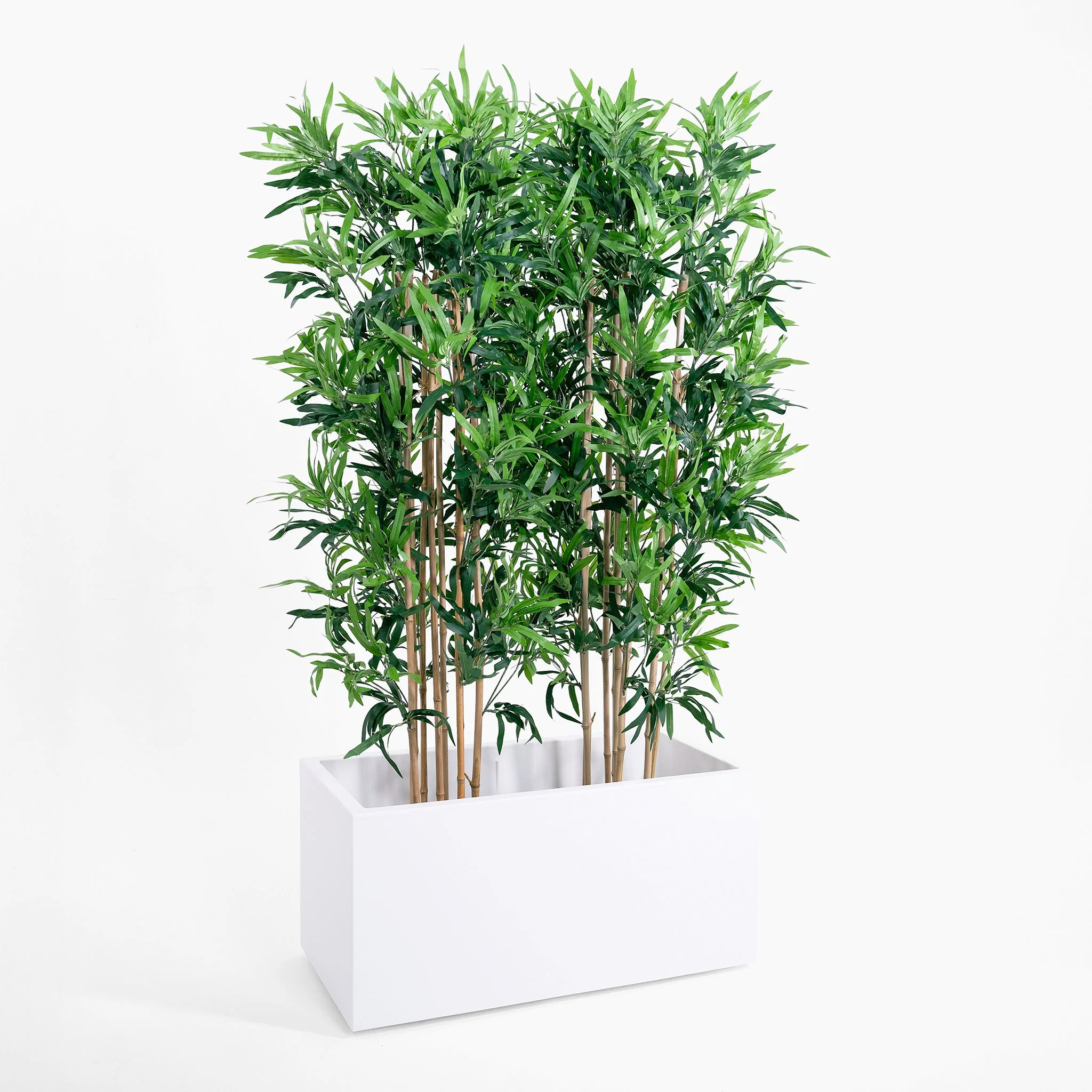 Oriental bamboo screening - Image 7