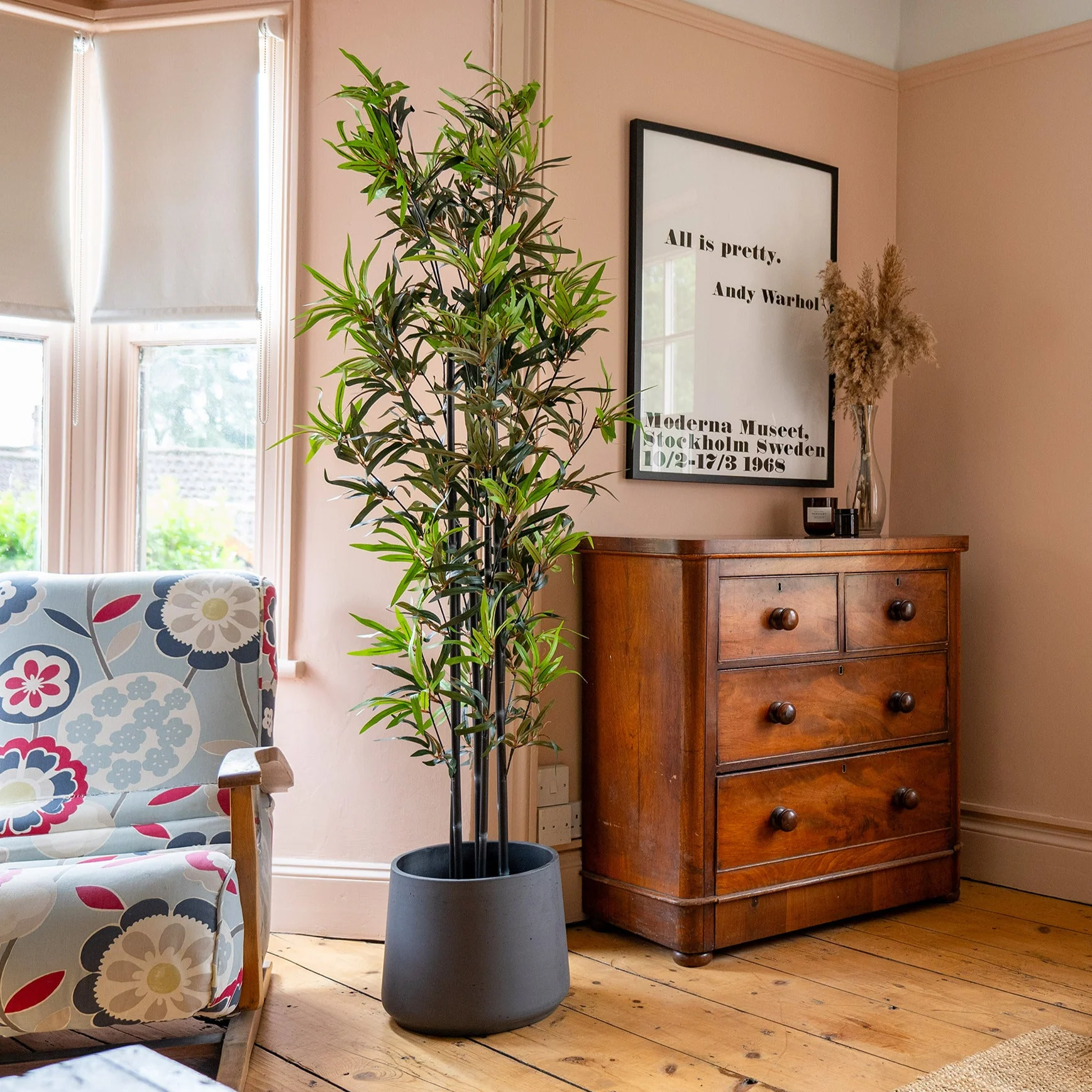 Black stem bamboo - Image 3