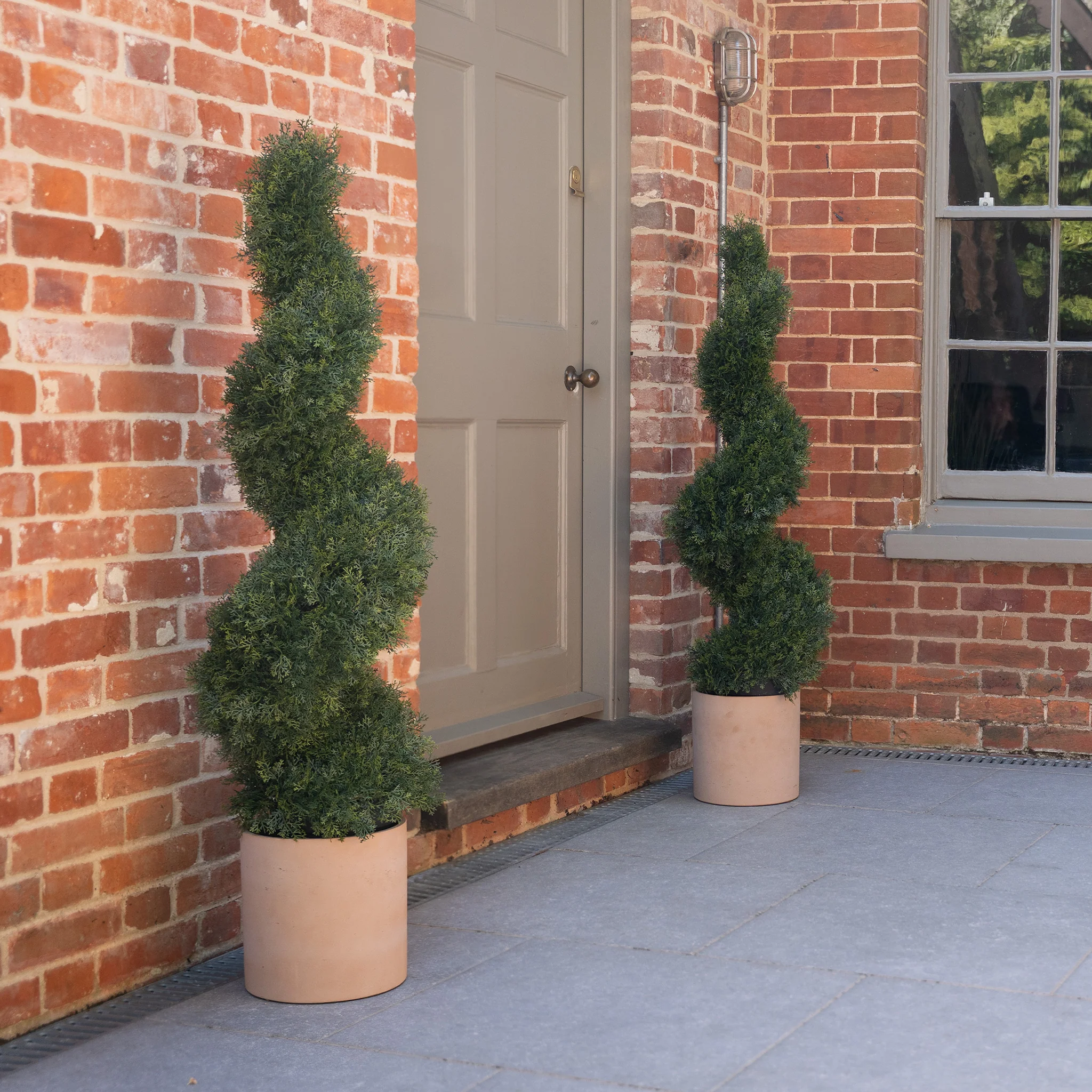 Cedar spiral - Image 3