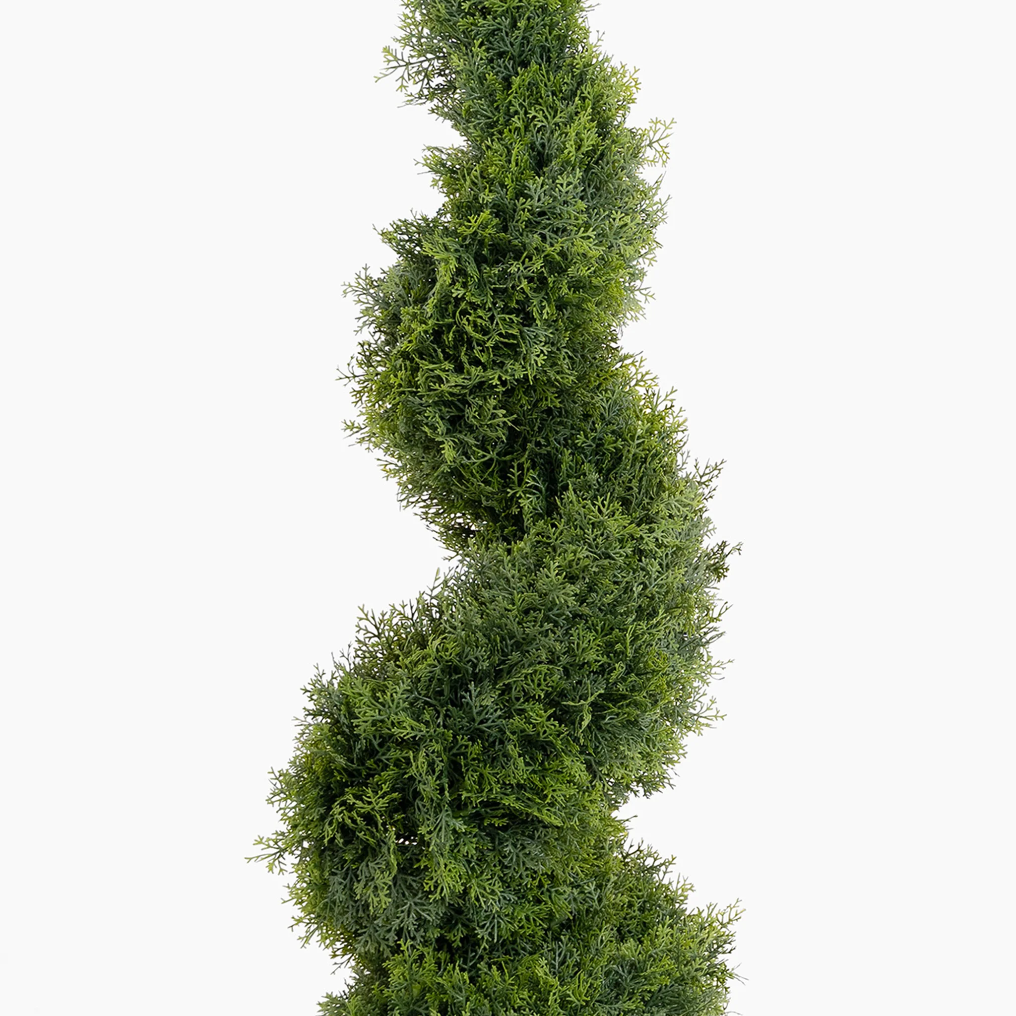 Cedar spiral - Image 9