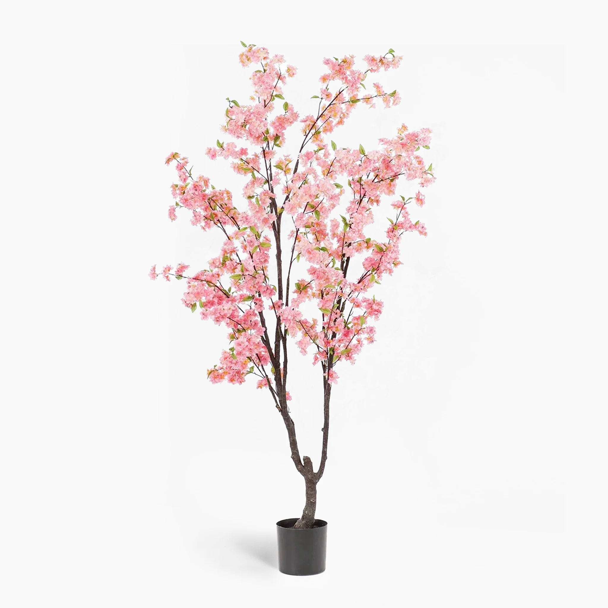 Cherry blossom tree - Image 3
