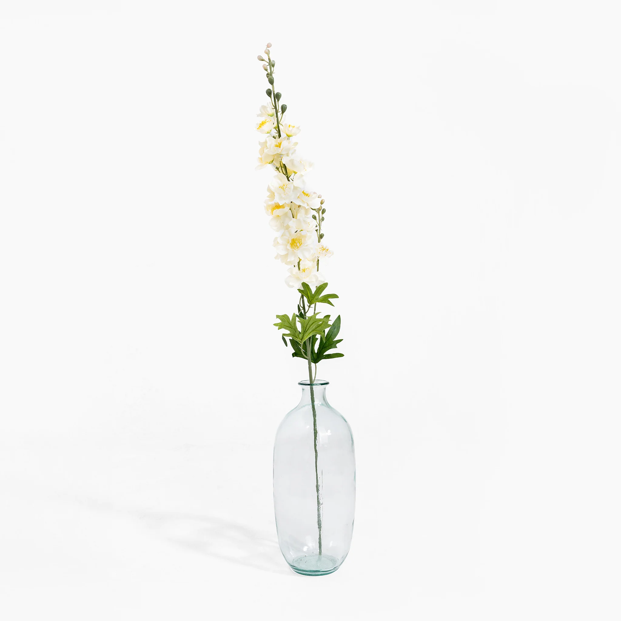 Delphinium stem - Image 4