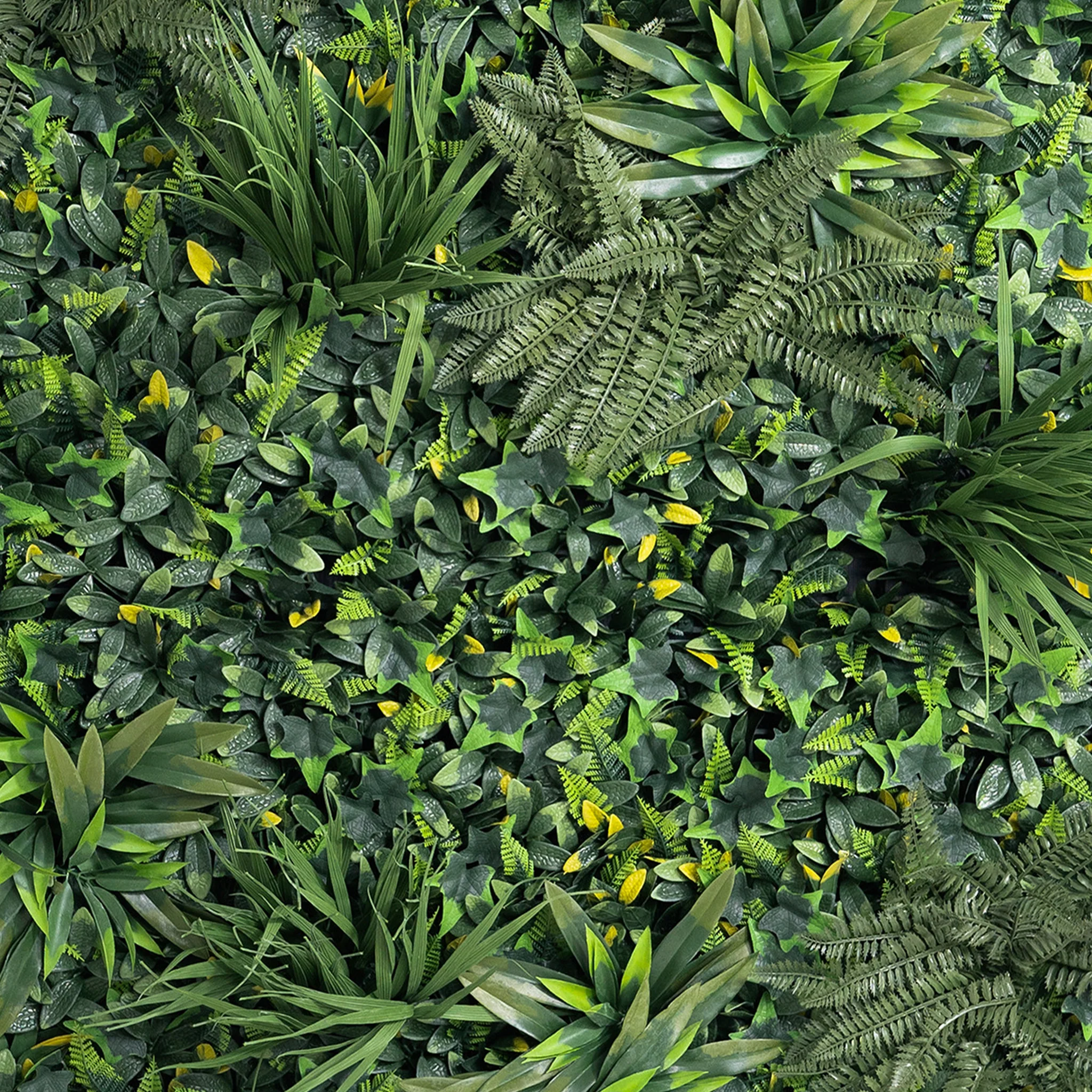 Forest greens living wall - Image 4