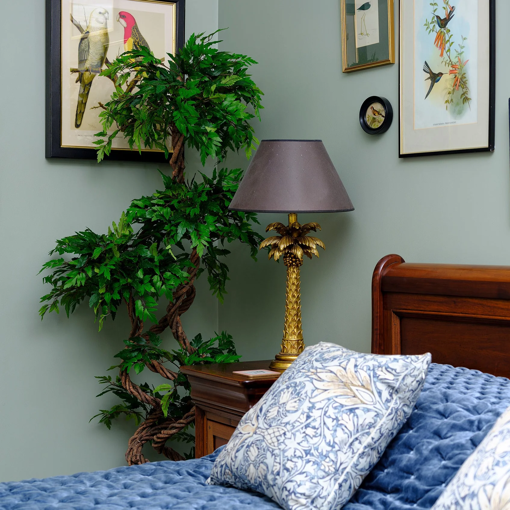 Fruticosa - Image 3