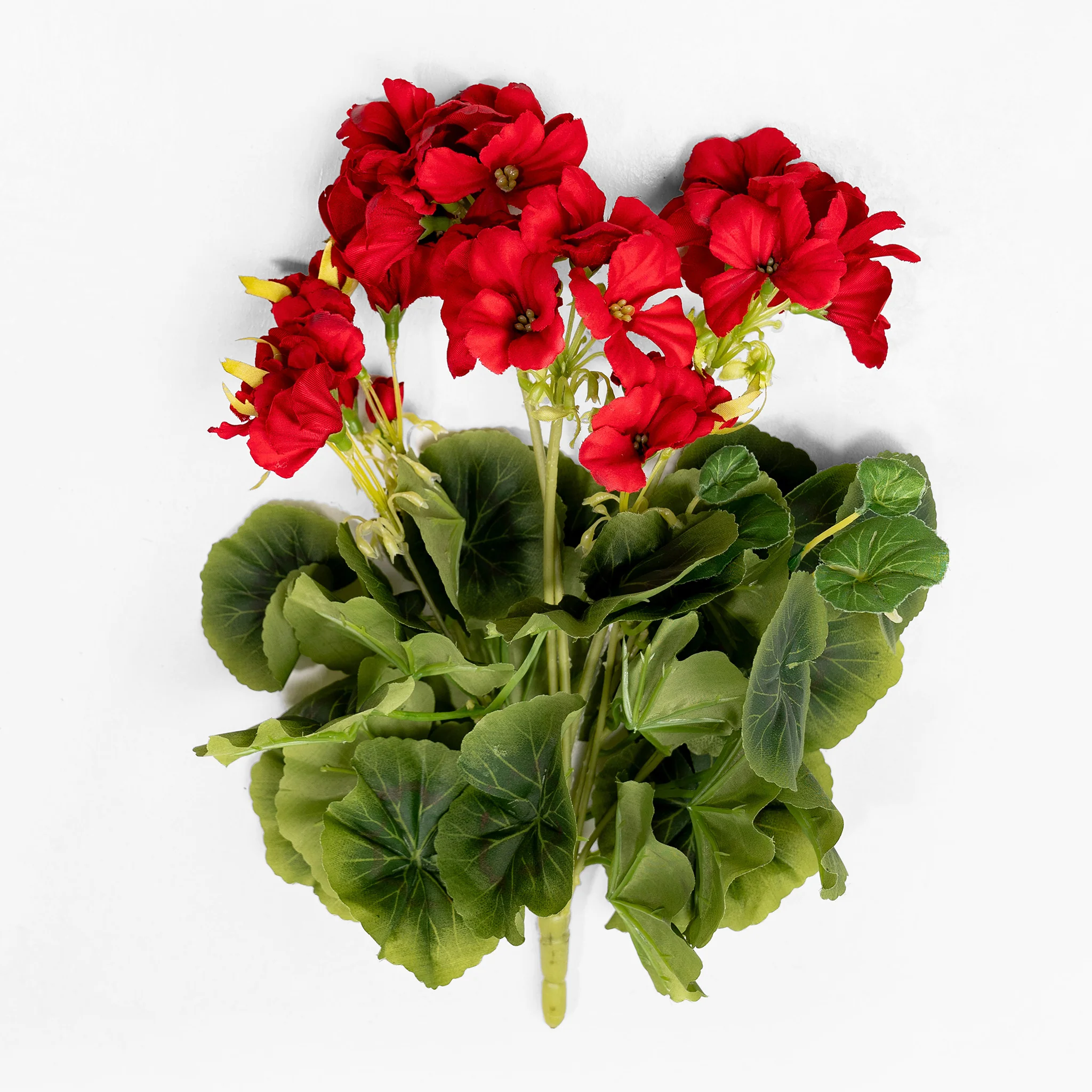 Geranium bush - Image 7