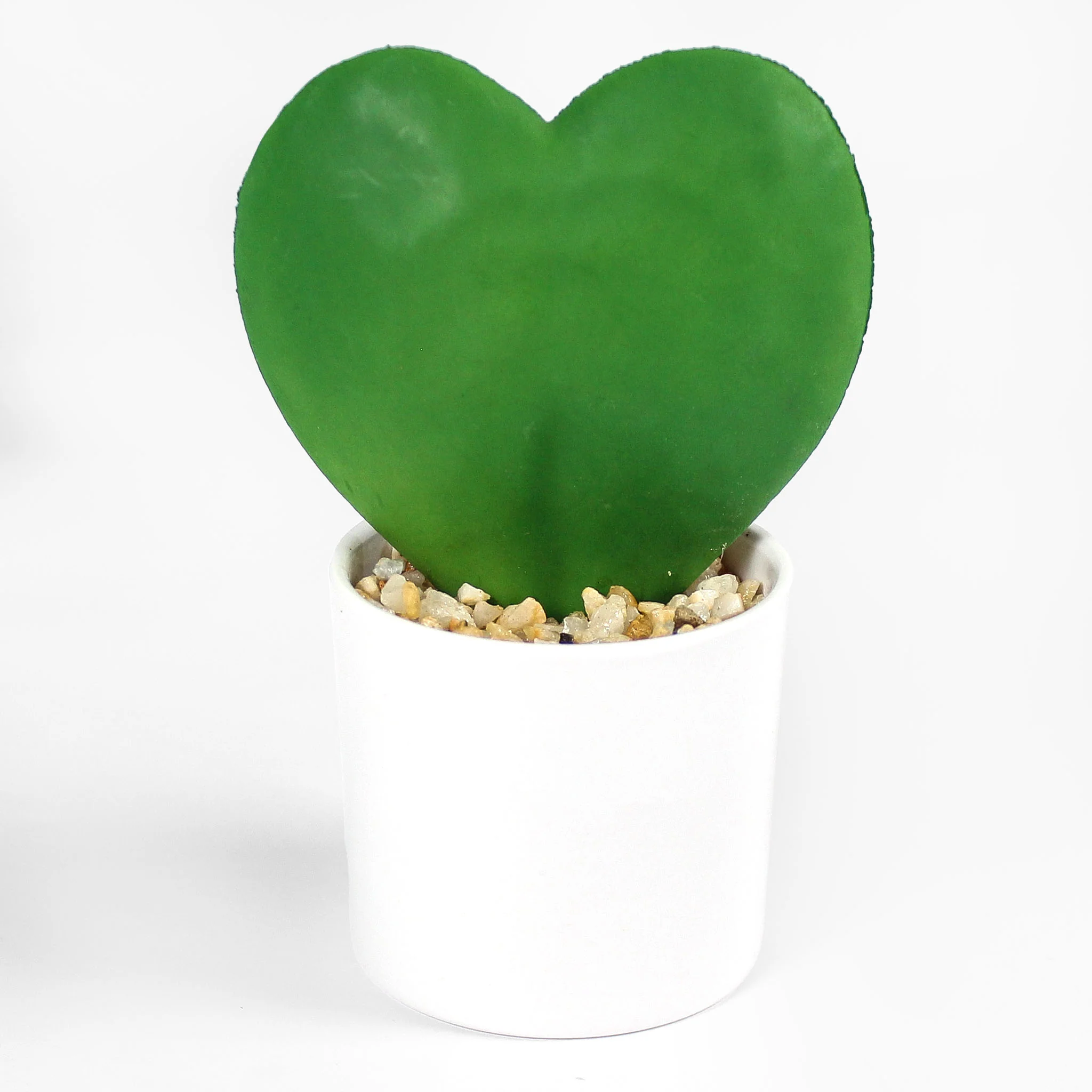 Hoya heart - Image 3