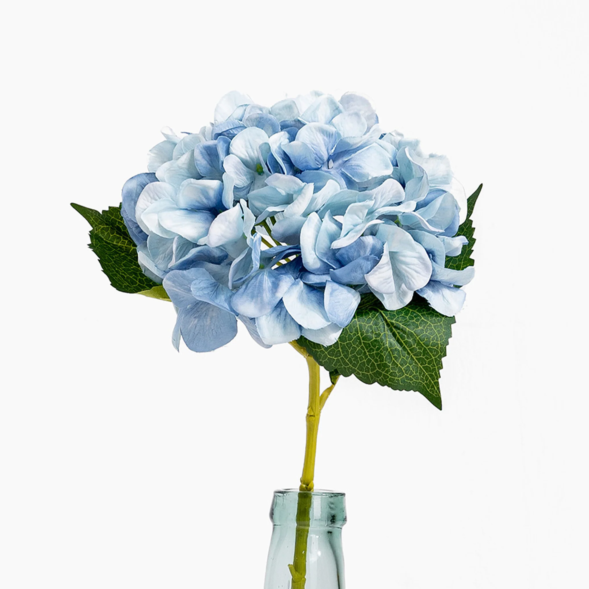 Hydrangea stem - Image 3