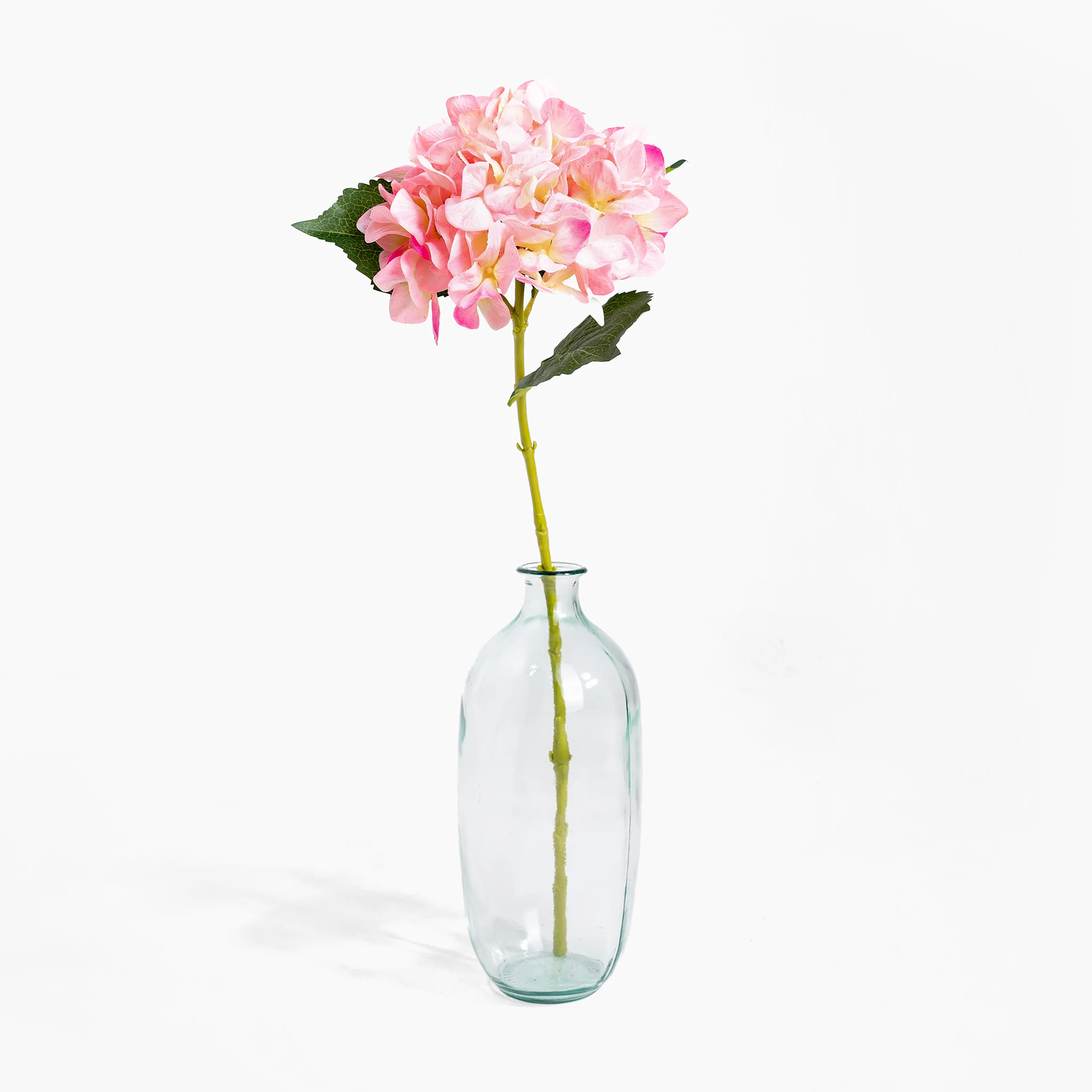 Hydrangea stem - Image 4