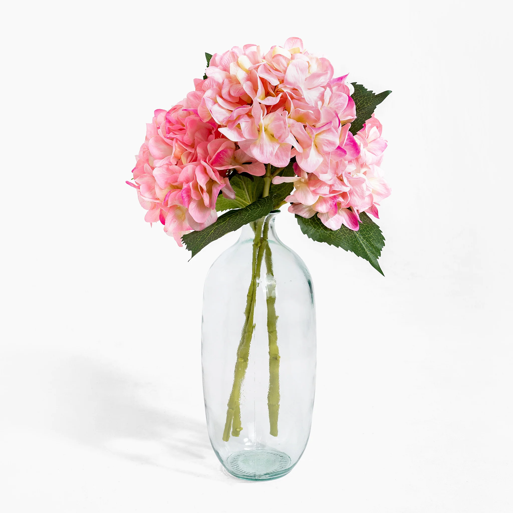 Hydrangea stem - Image 5