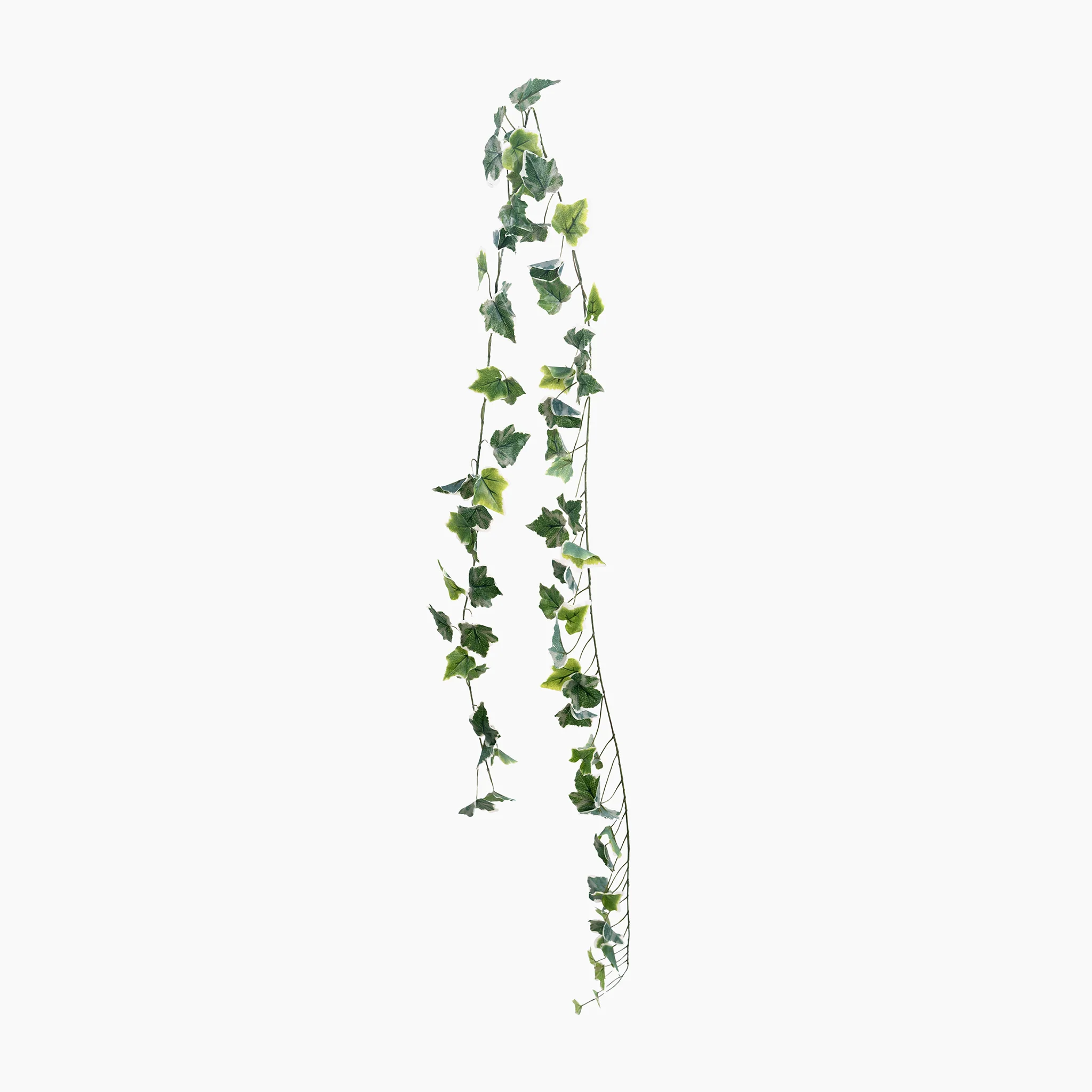 Ivy garland - Image 4