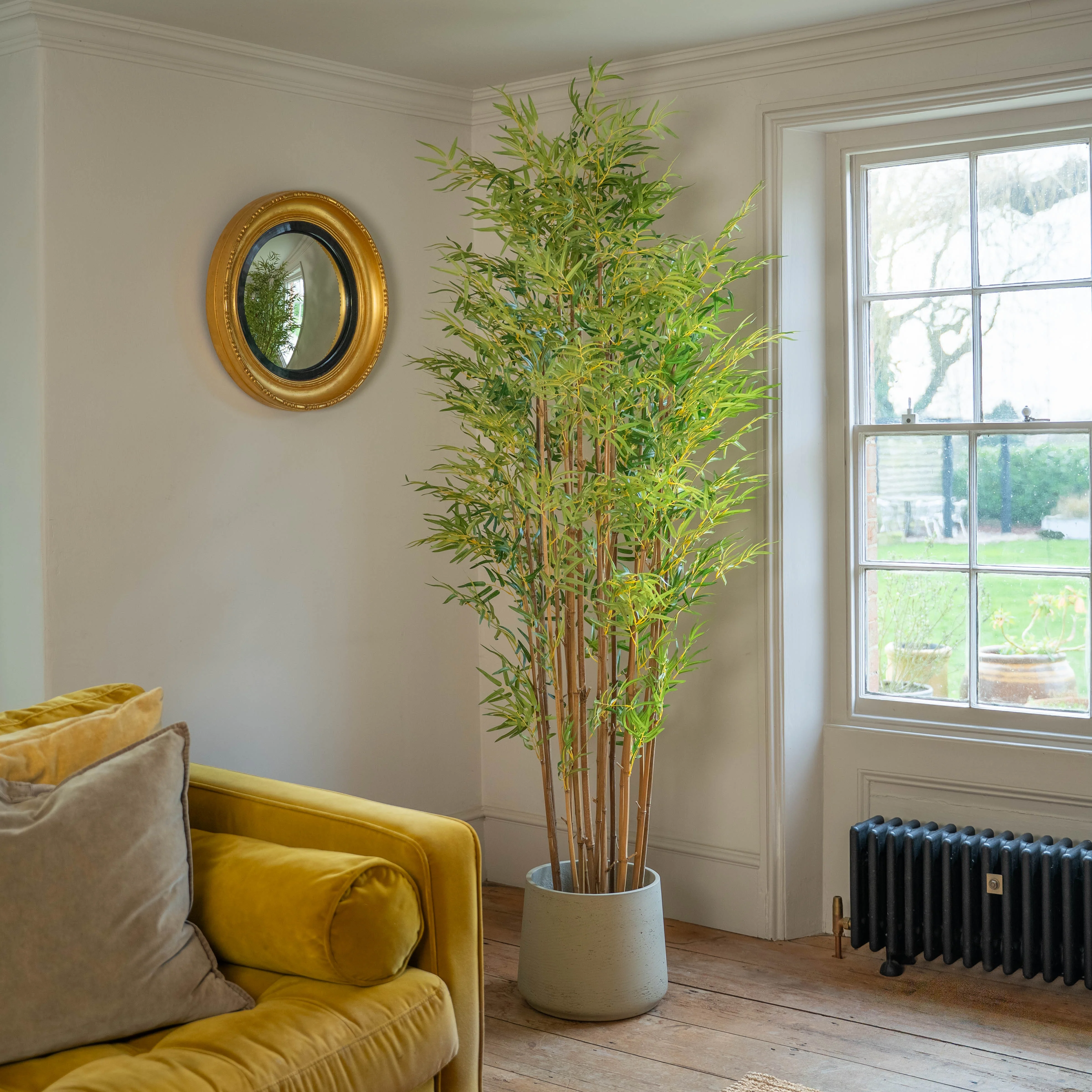 Japanese bamboo - Image 3