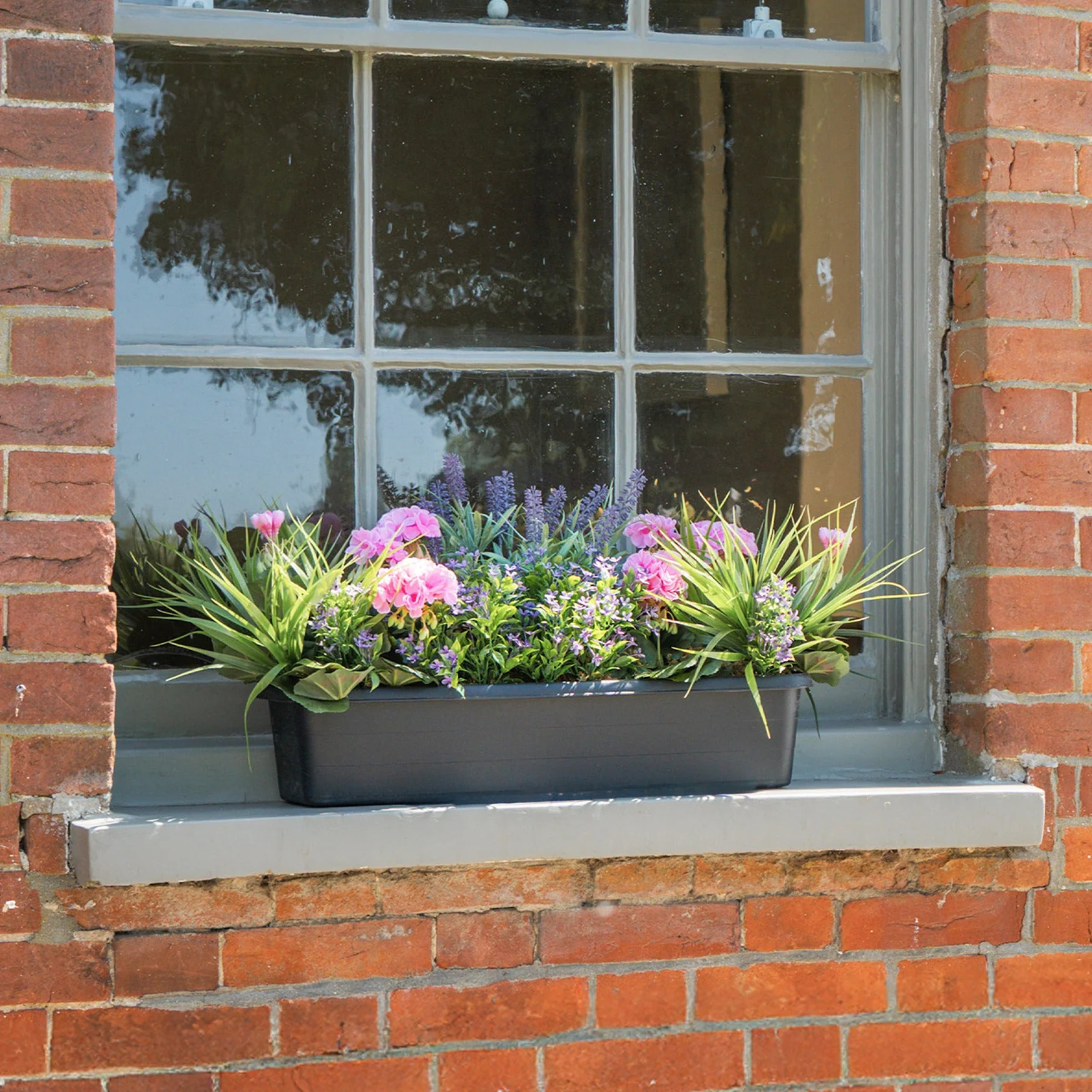 Mixed flower window box - Image 4