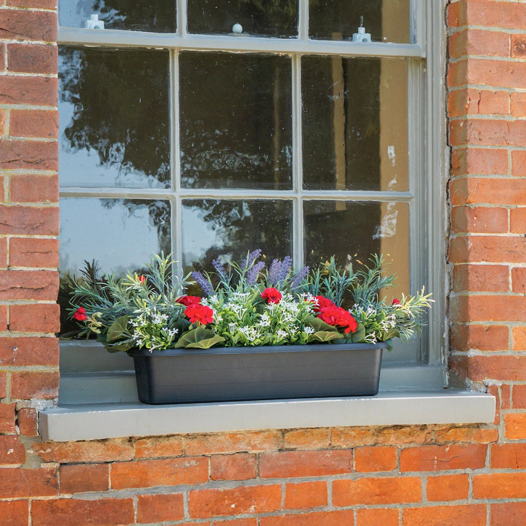 Mixed flower window box - Image 7