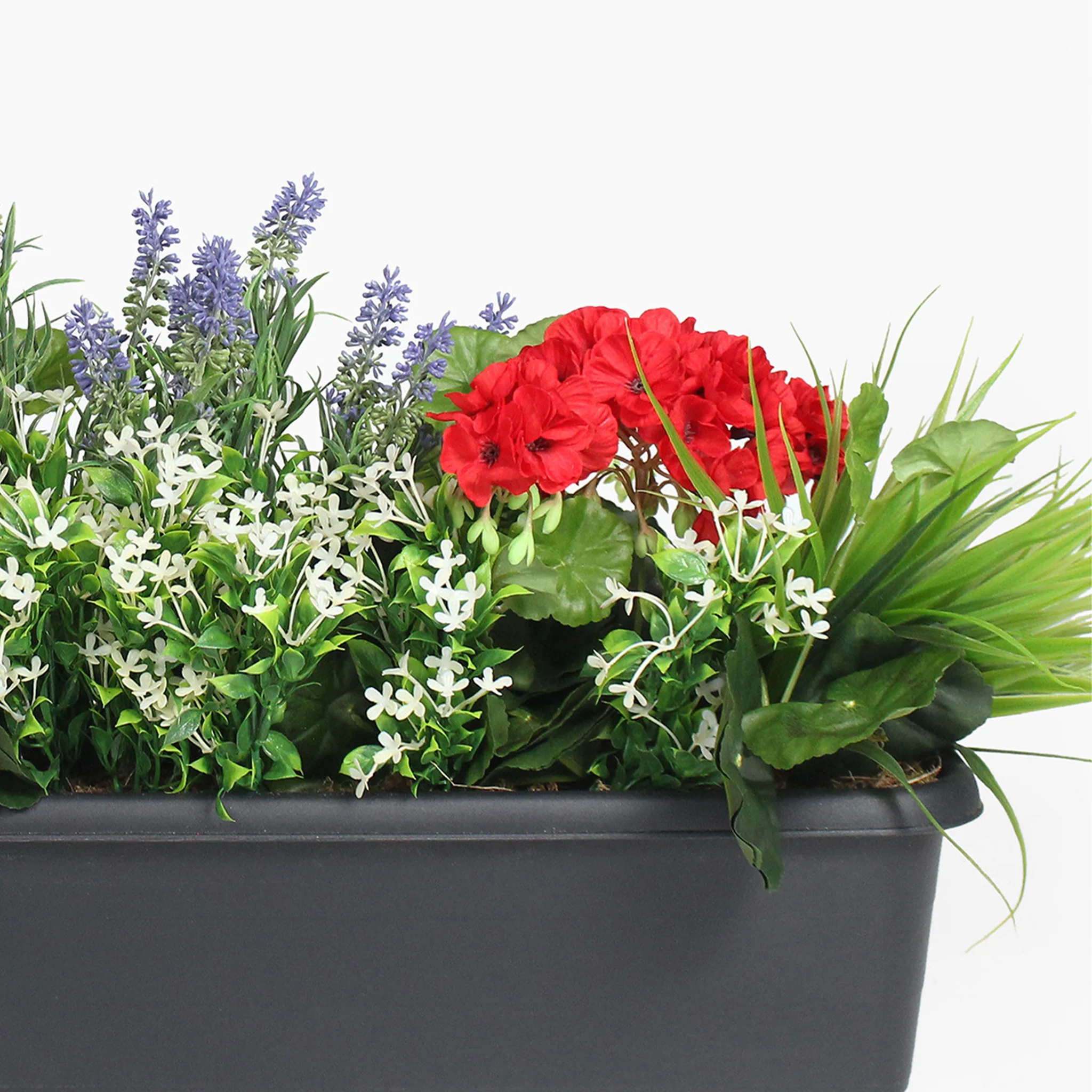 Mixed flower window box - Image 9
