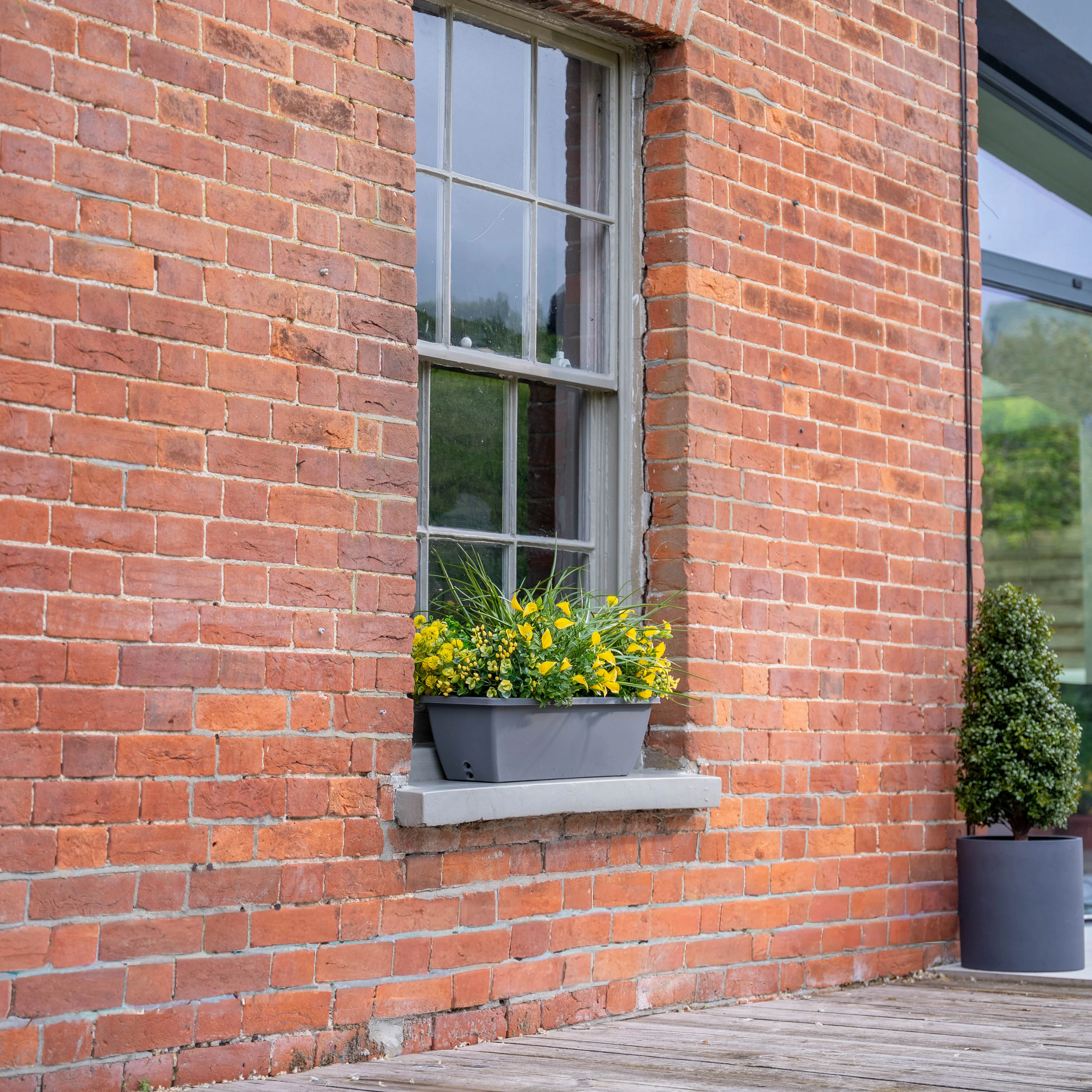 Morning sunshine window box - Image 2