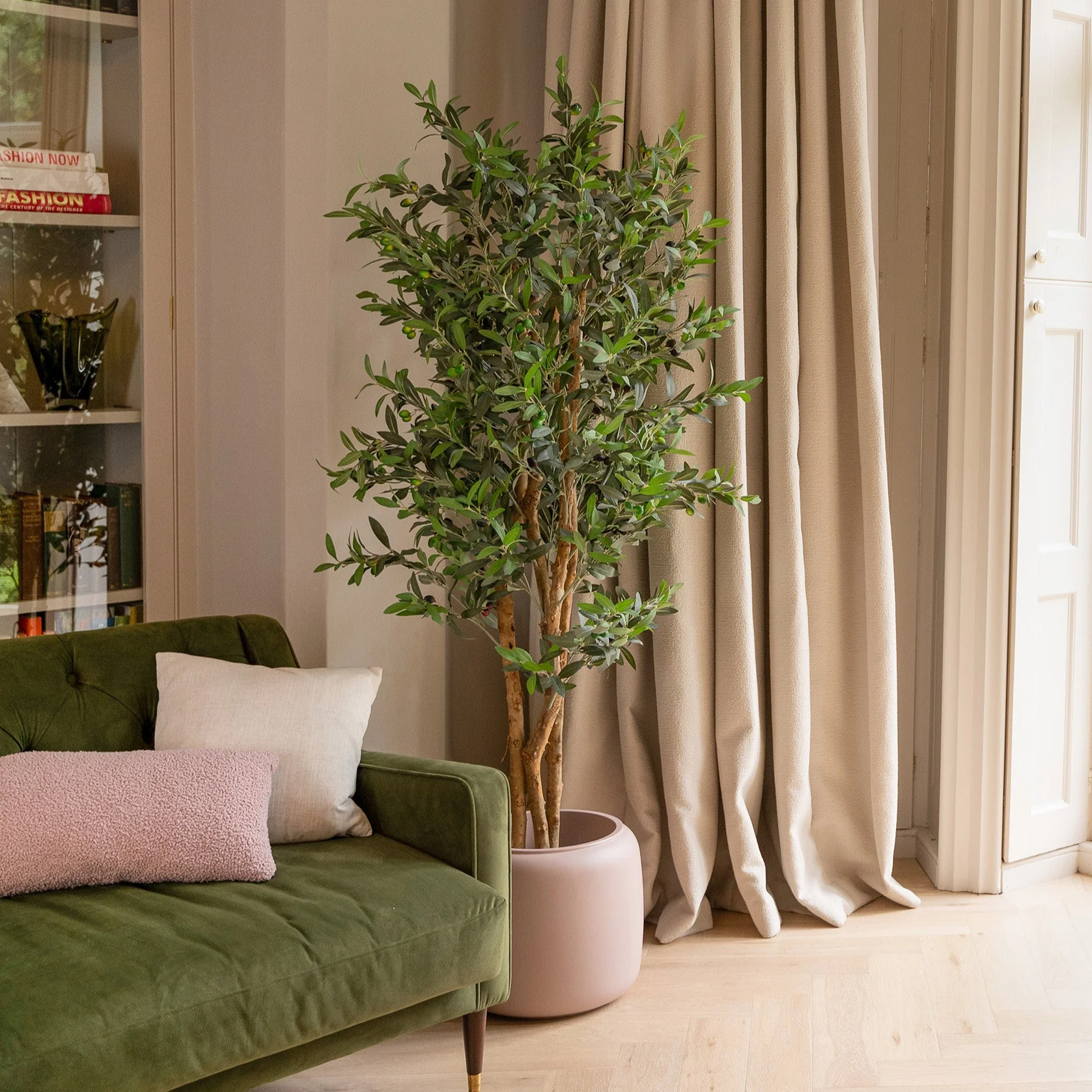 Olive tree