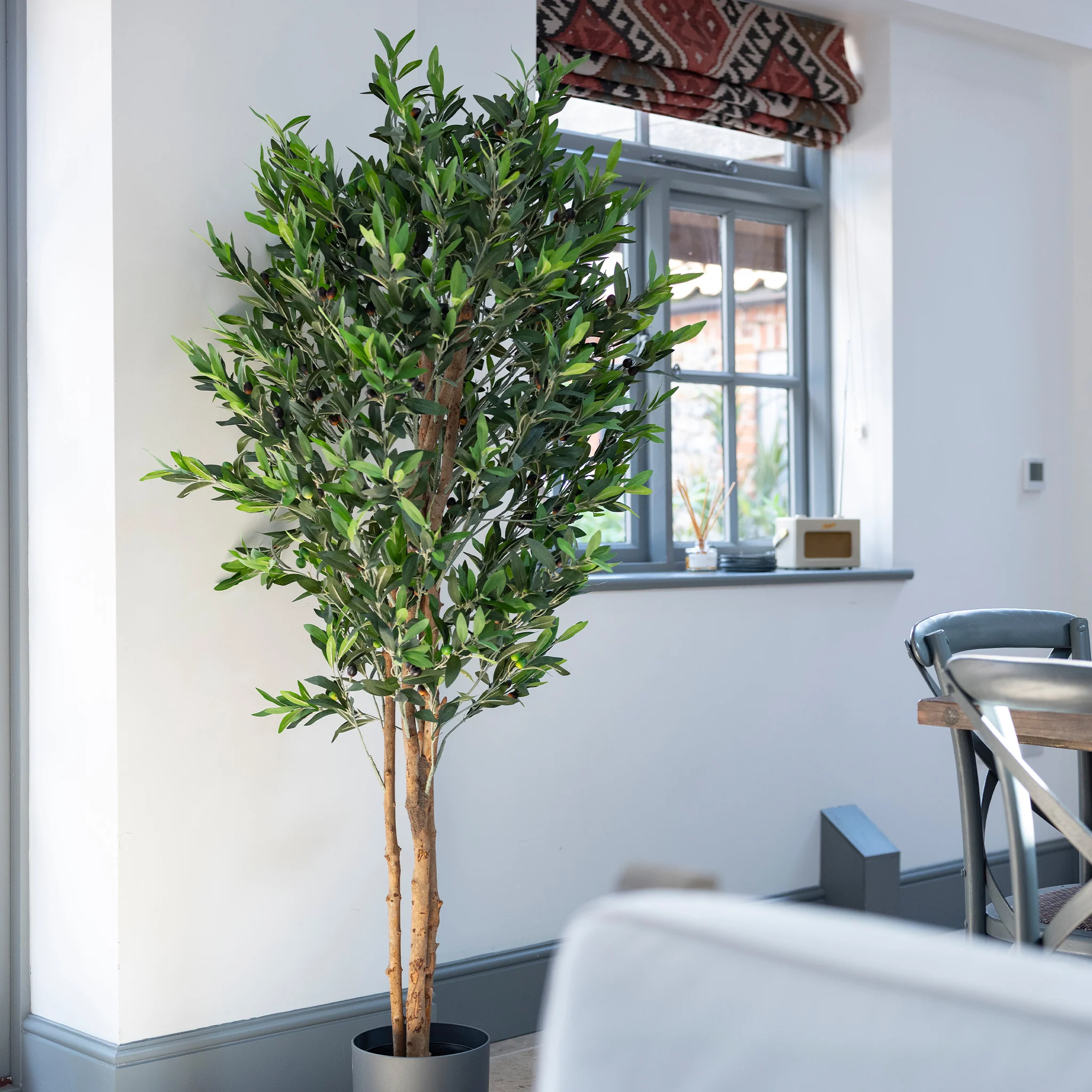 Olive tree - Image 2