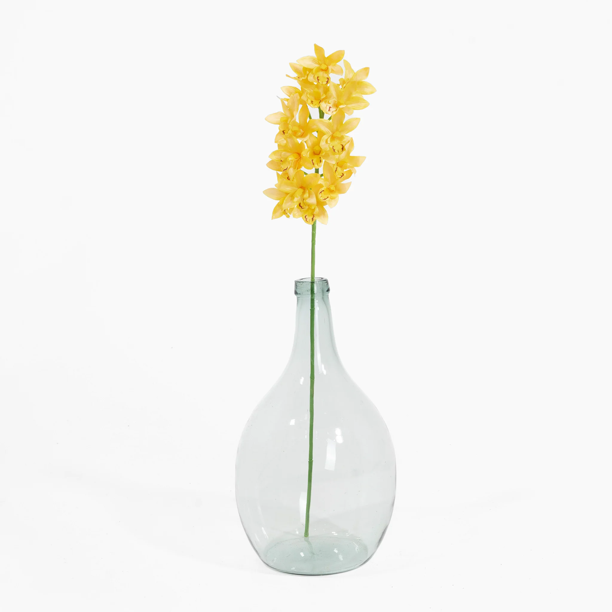 Orchid stem