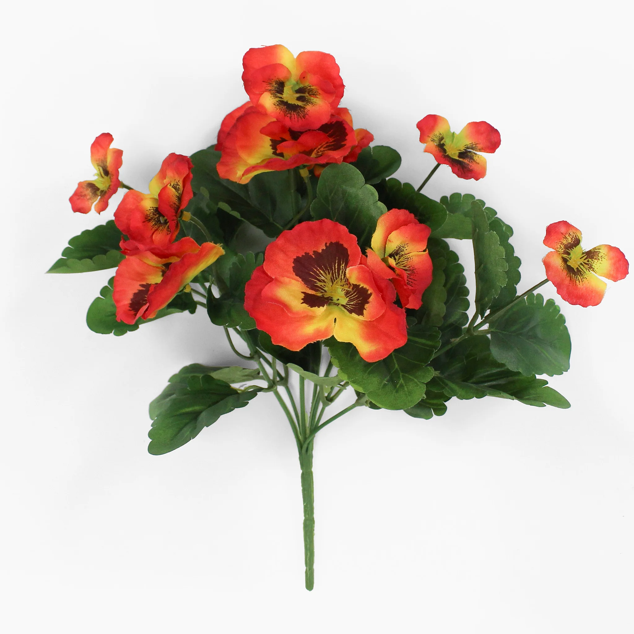 Pansy bush - Image 4