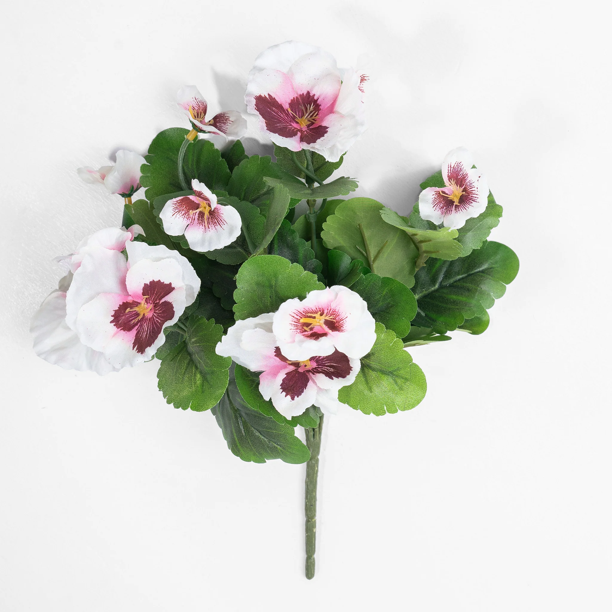 Pansy bush - Image 5