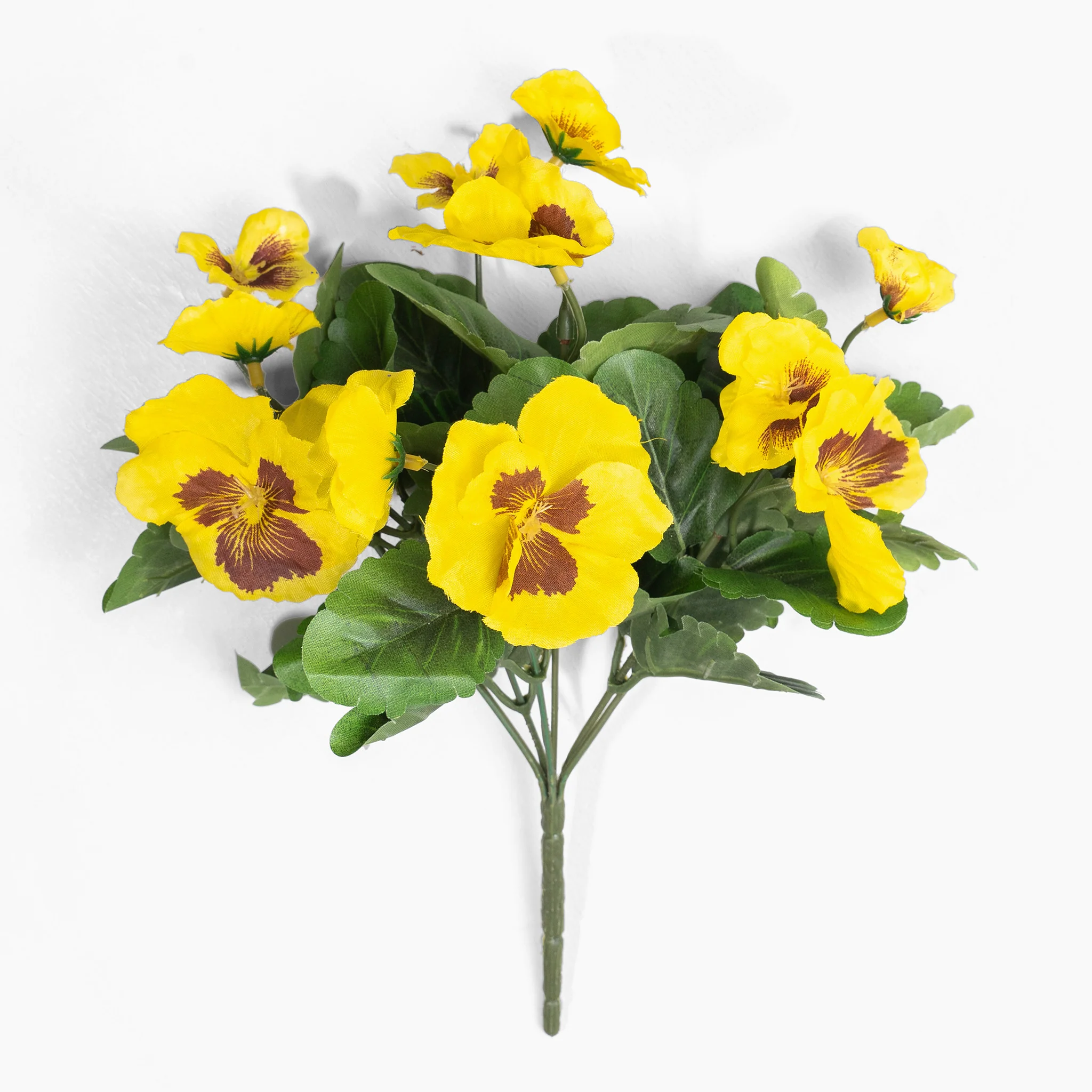 Pansy bush - Image 6
