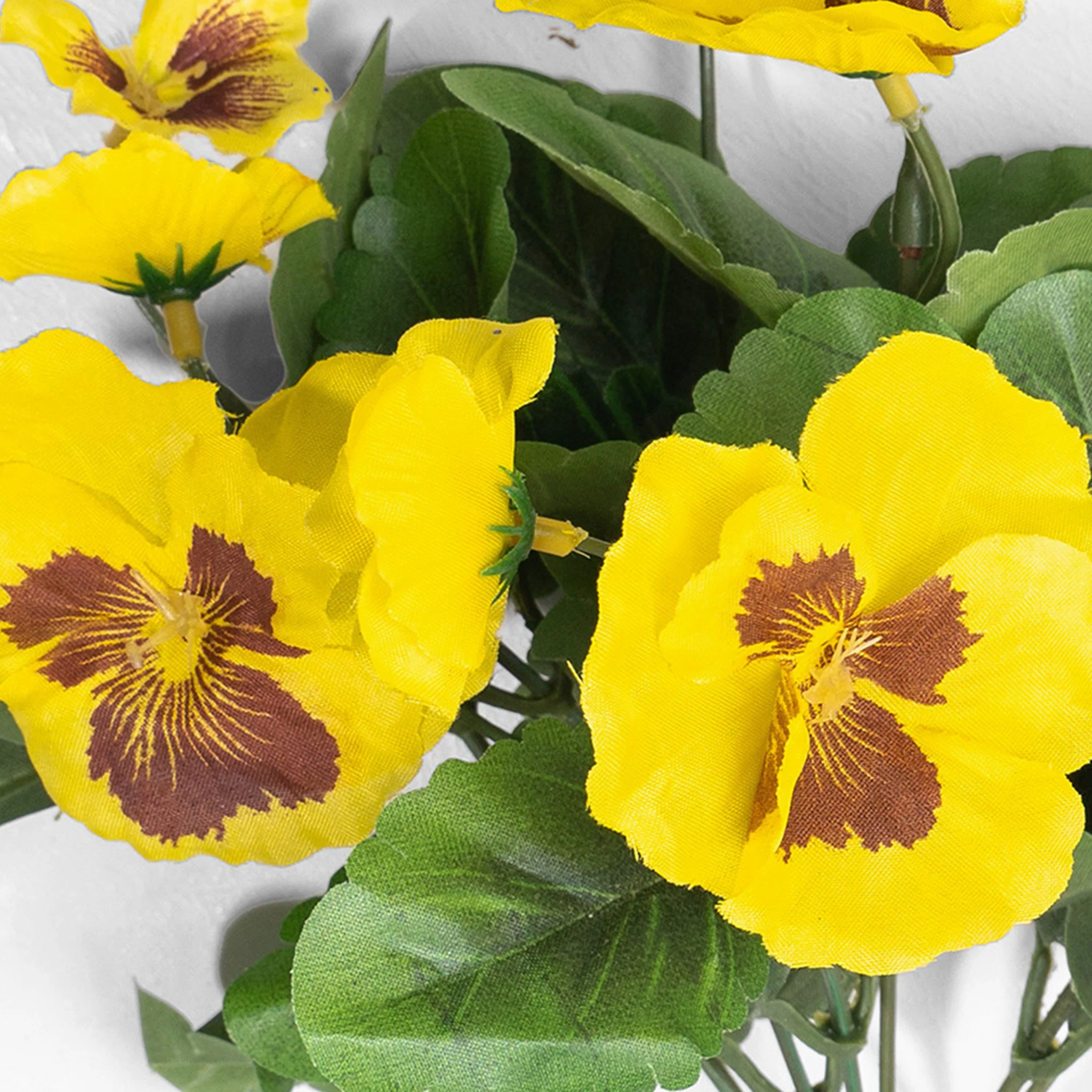 Pansy bush - Image 7