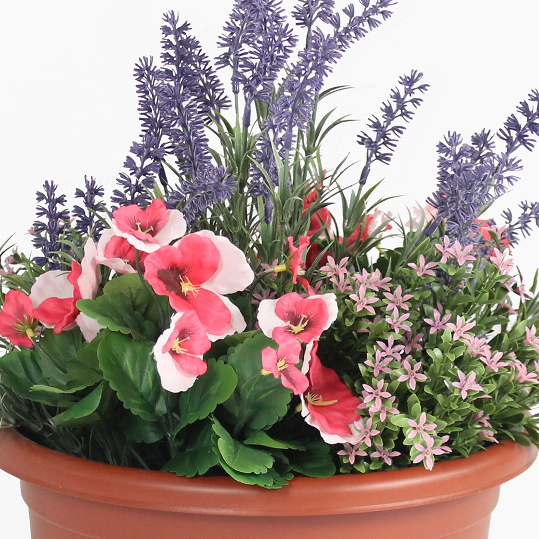 Pansy & lavender patio planter - Image 3