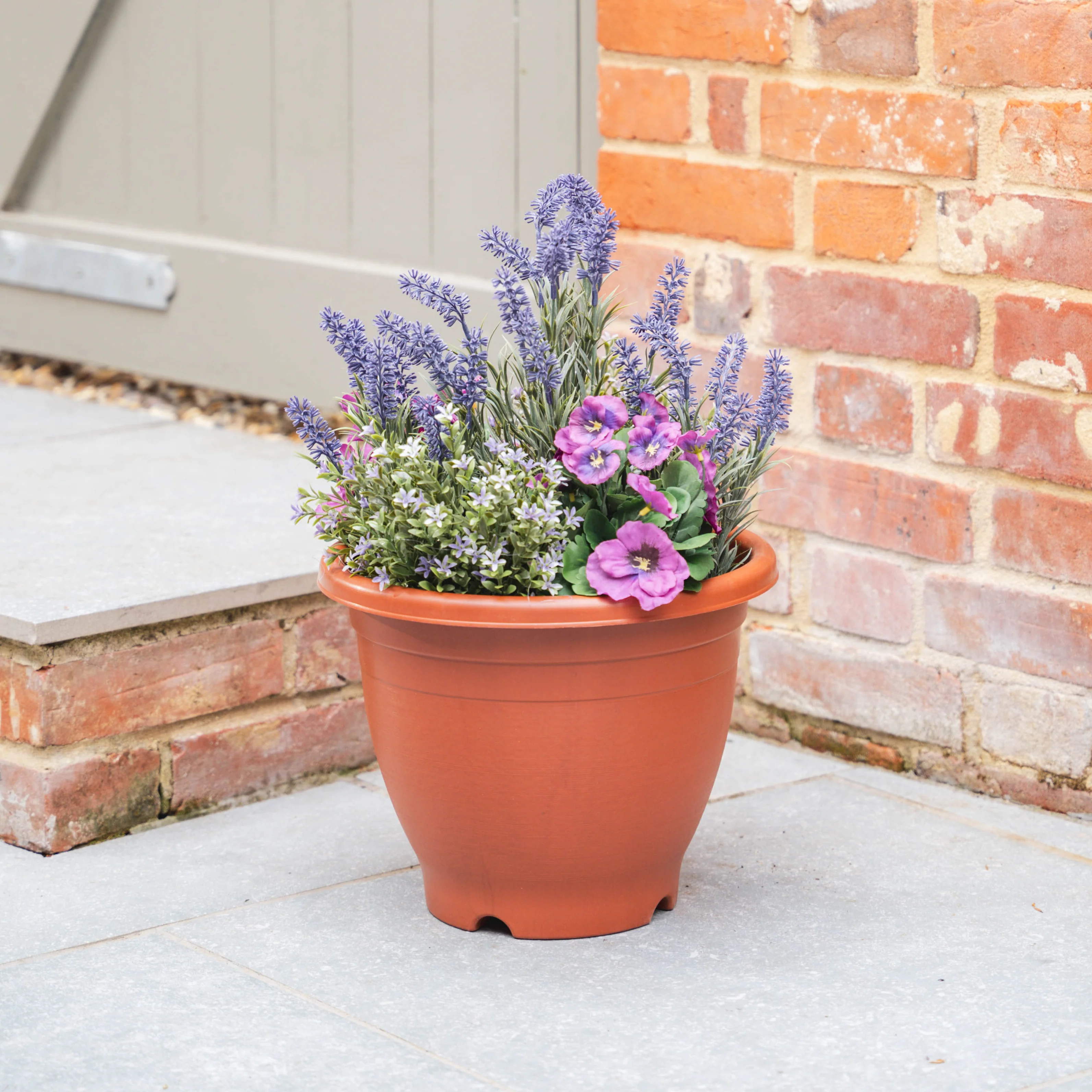 Pansy & lavender patio planter - Image 4