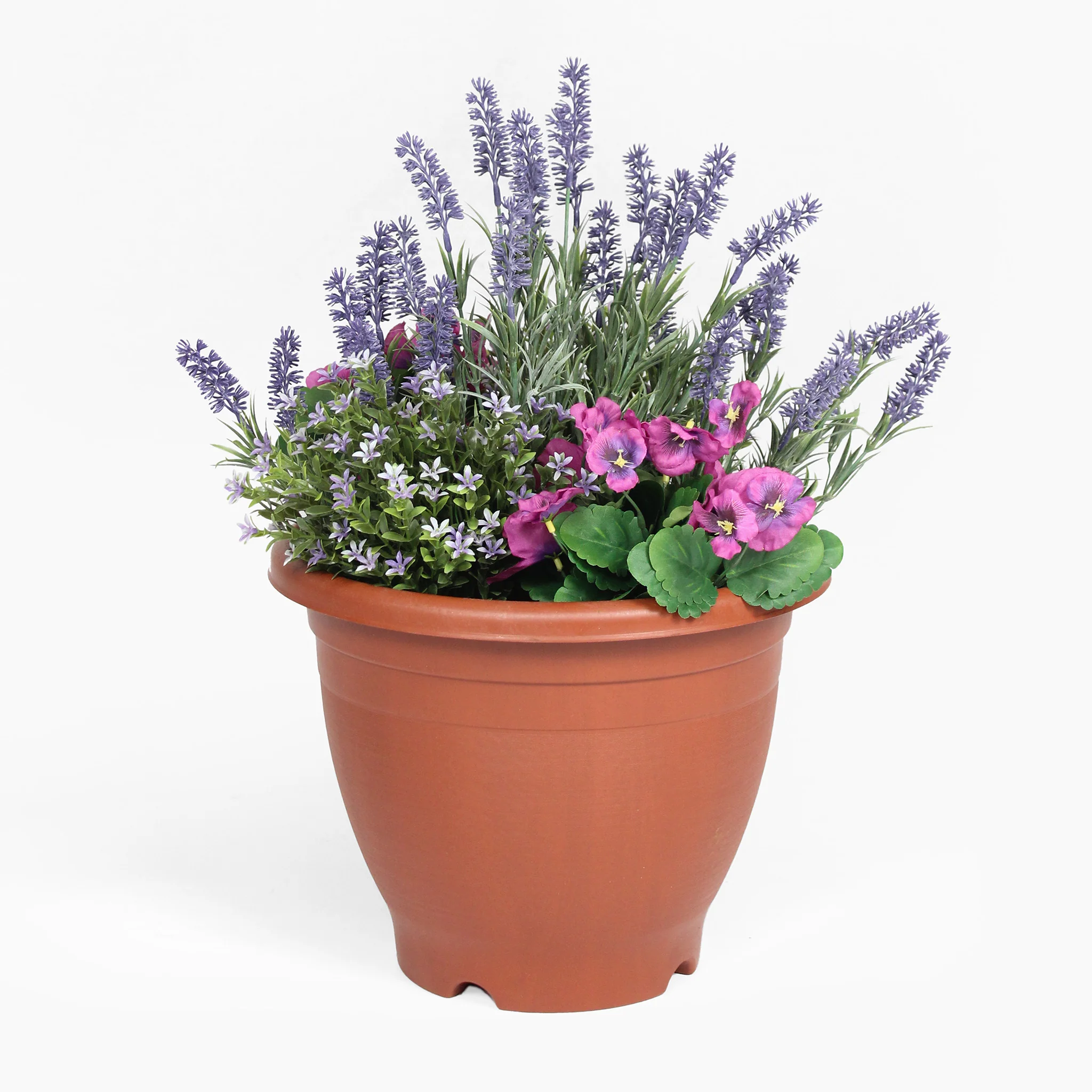 Pansy & lavender patio planter - Image 5