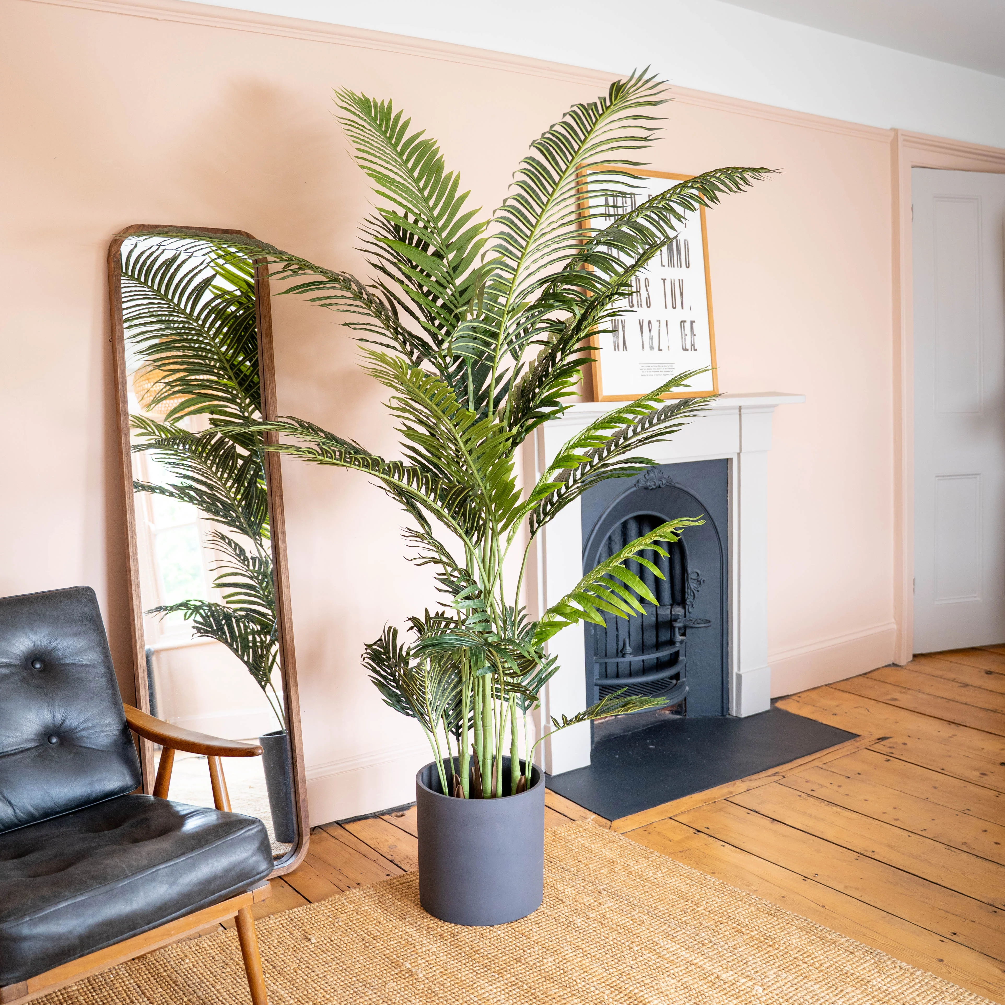 Paradise palm - Image 6