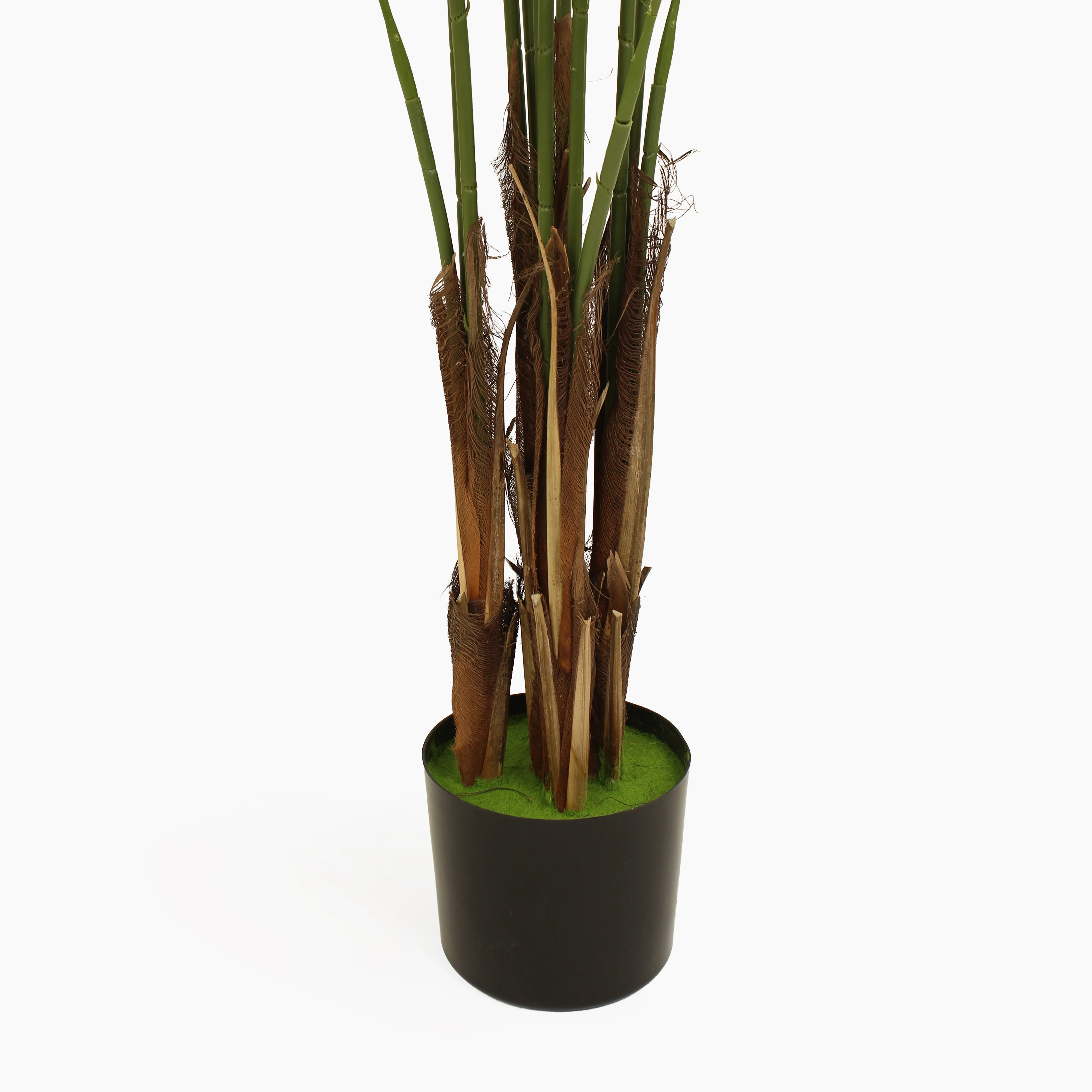 Tropical palm (faulty) - Image 5