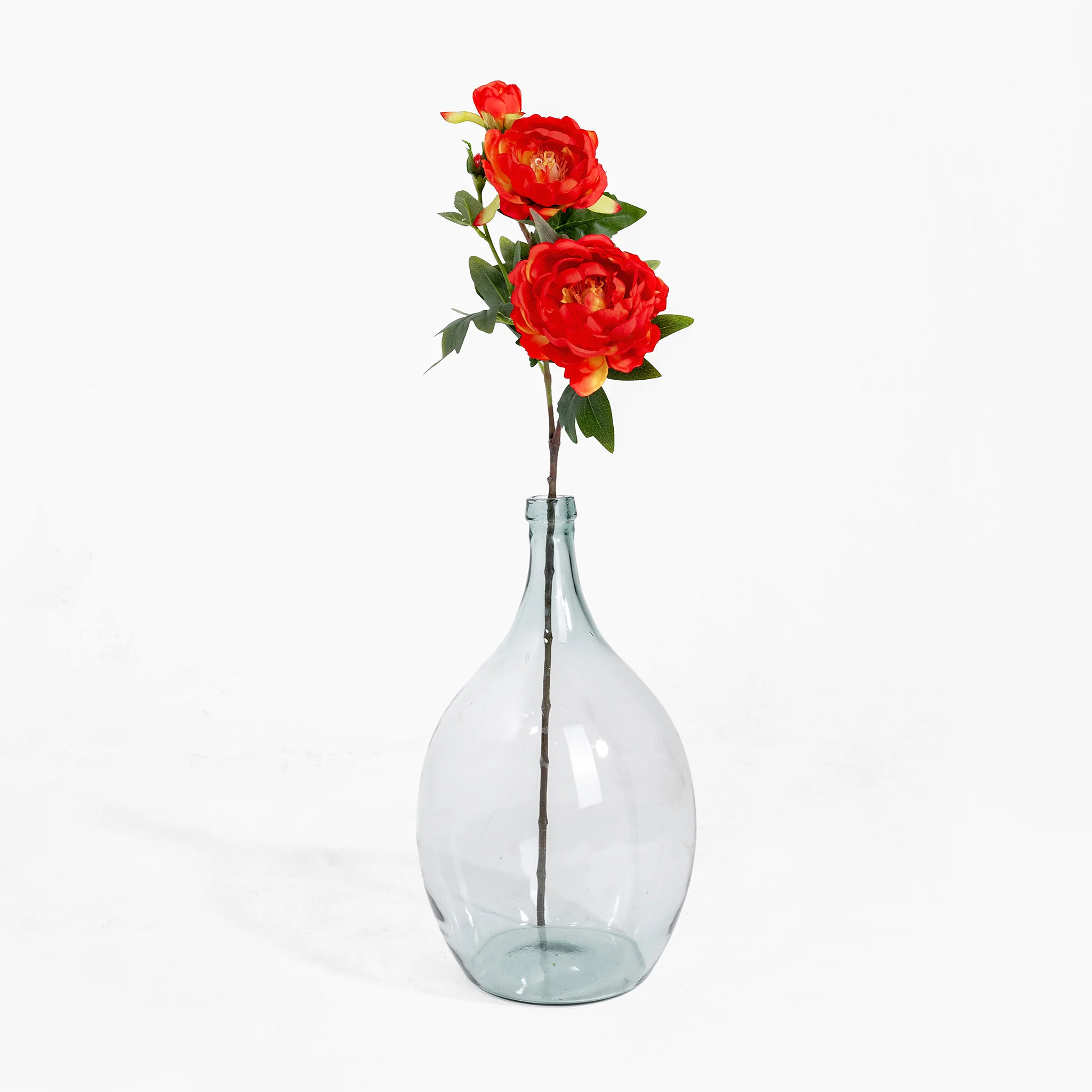 Peony stem