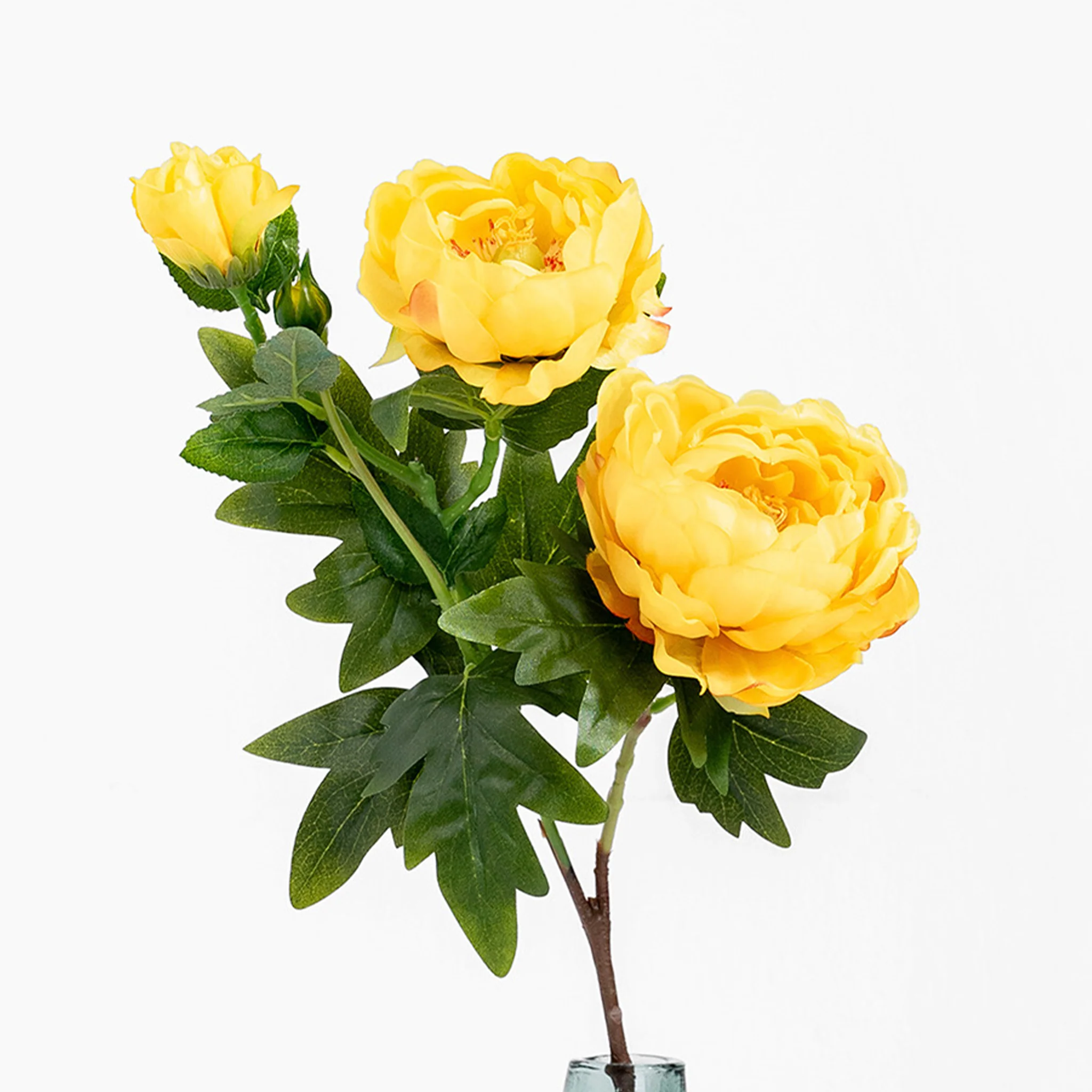 Peony stem - Image 5