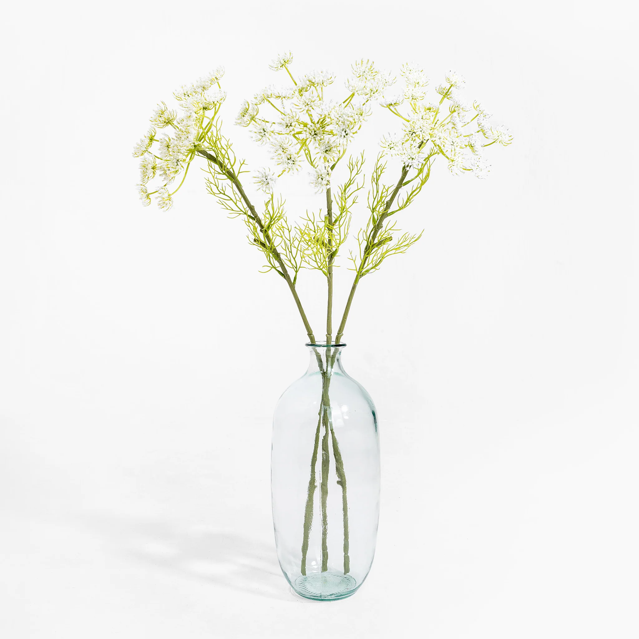 Queen Anne's lace stem - Image 2