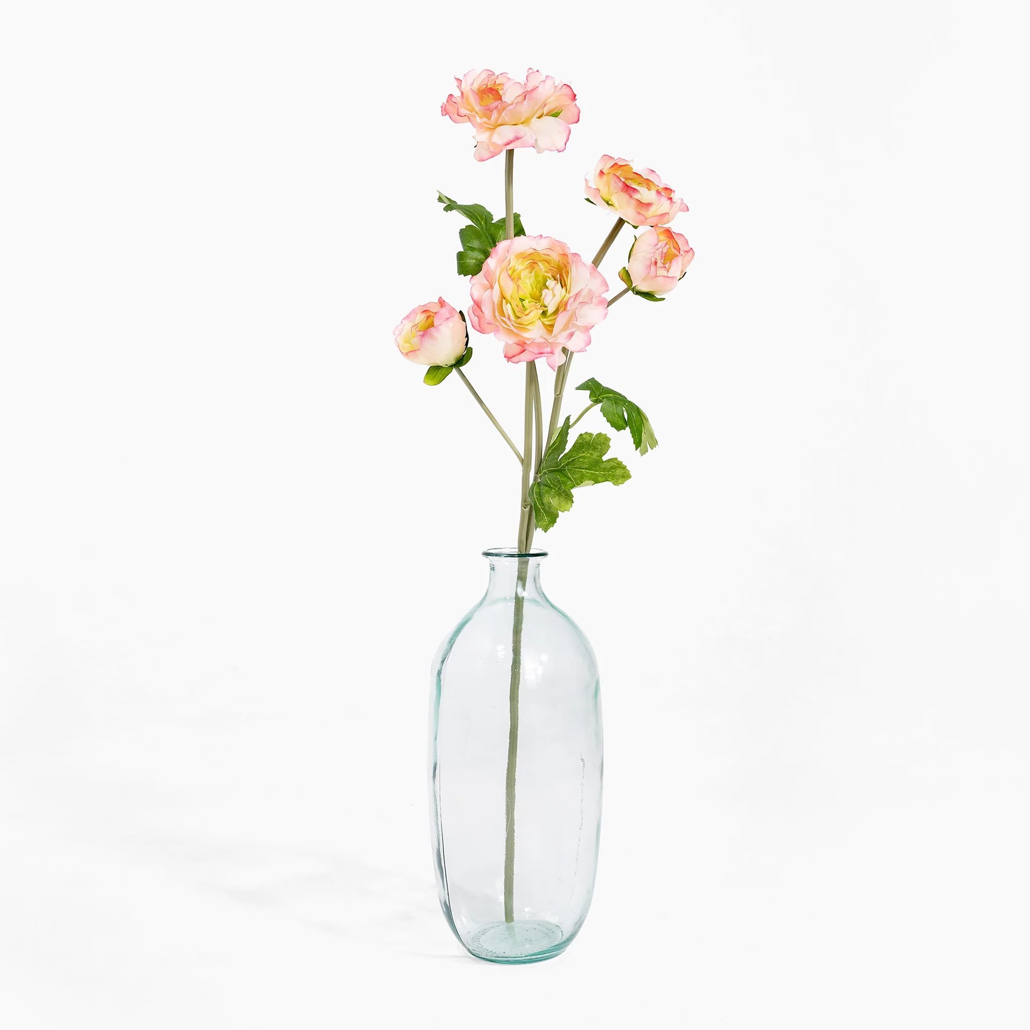 Ranunculus stem - Image 4