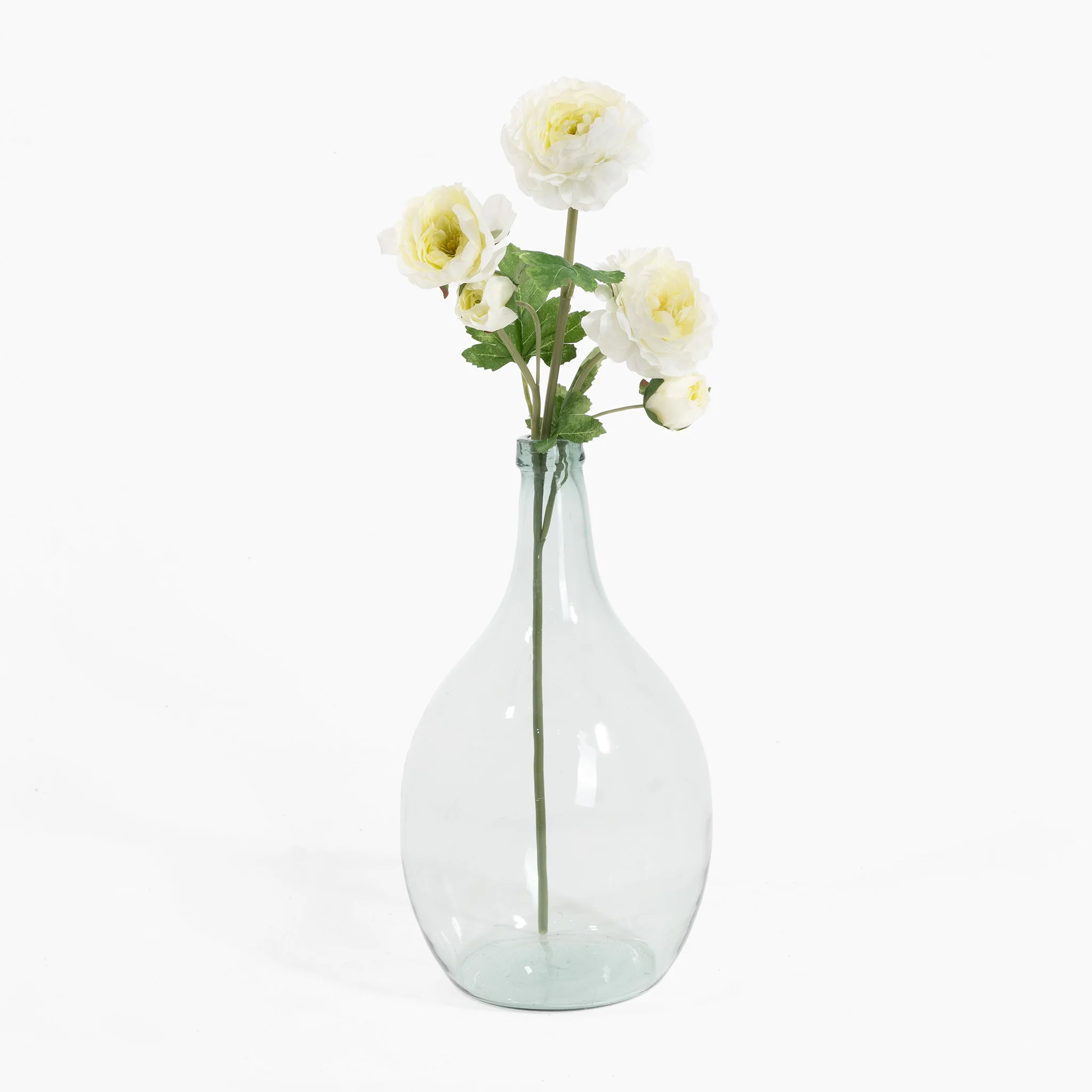 Ranunculus stem - Image 7