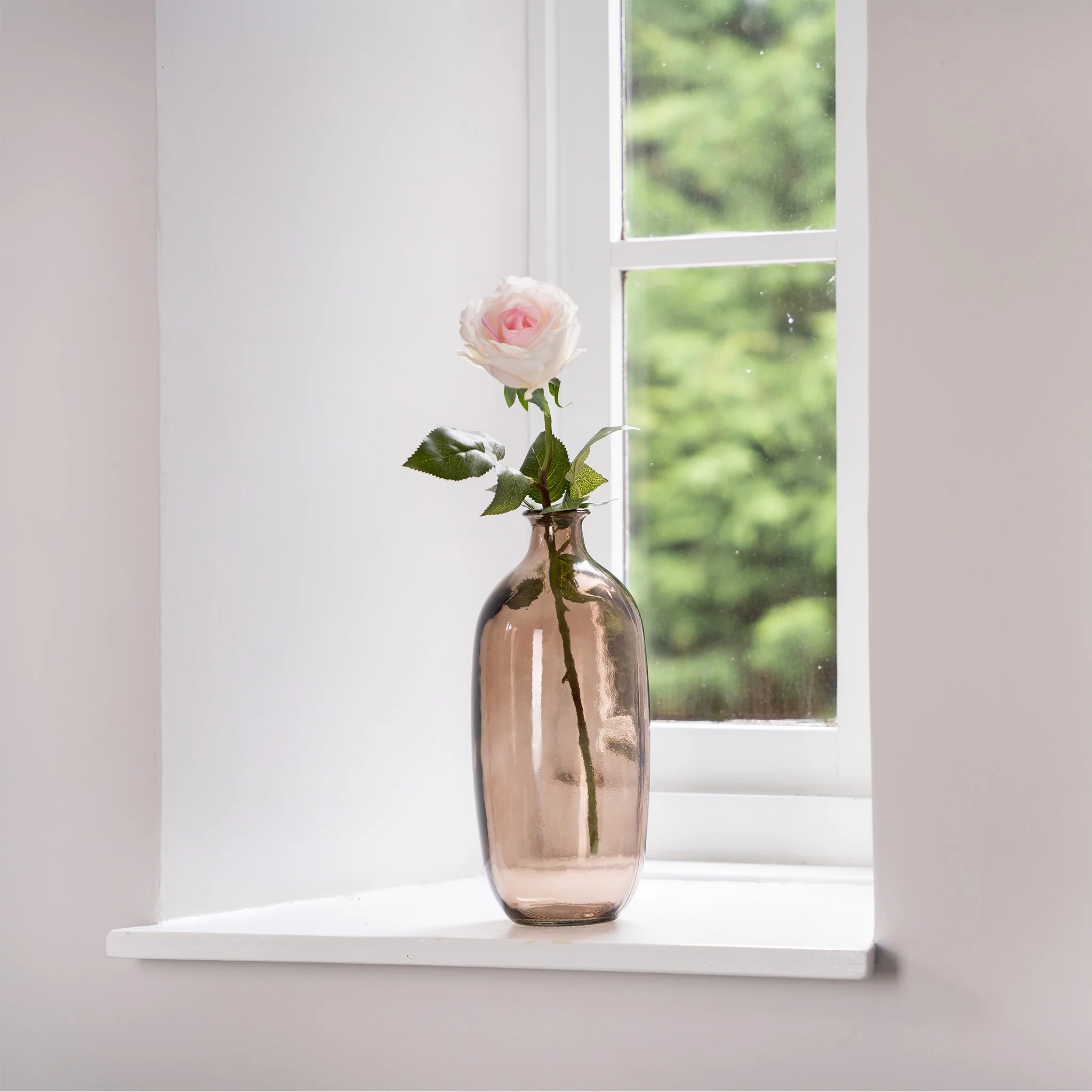 Rose stem - Image 5