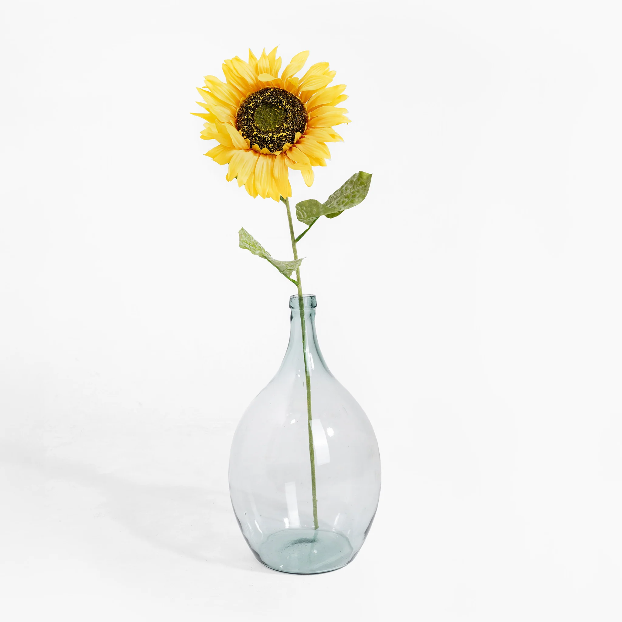 Sunflower stem