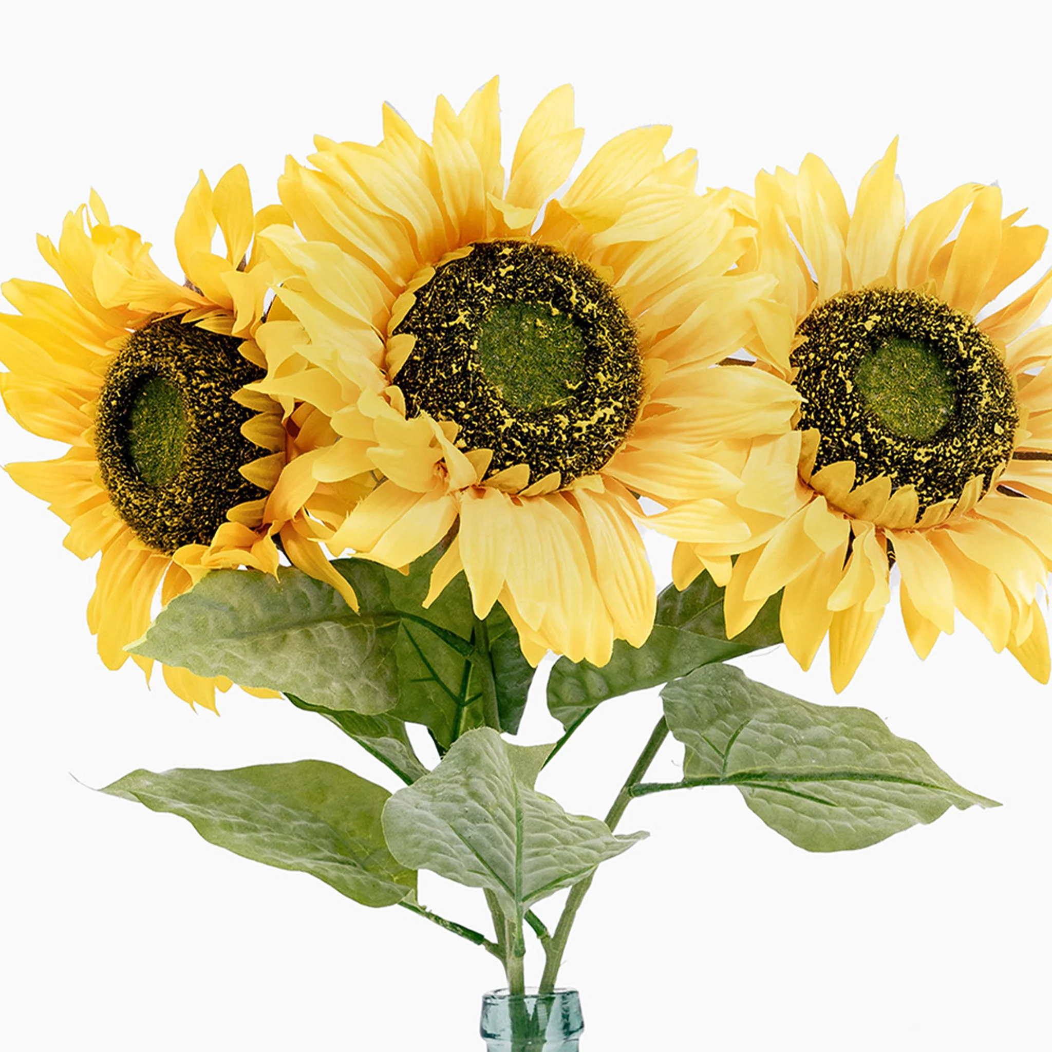 Sunflower stem - Image 3