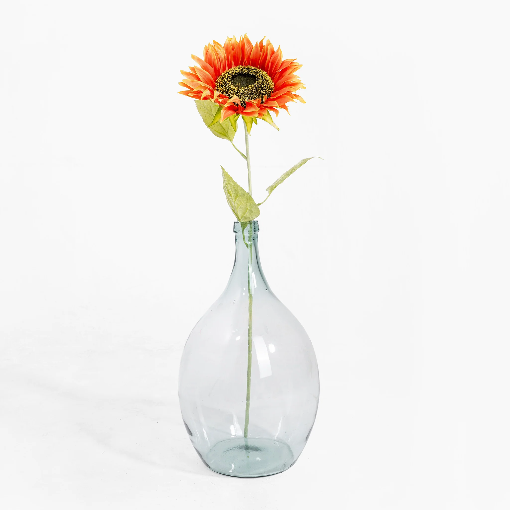 Sunflower stem - Image 4