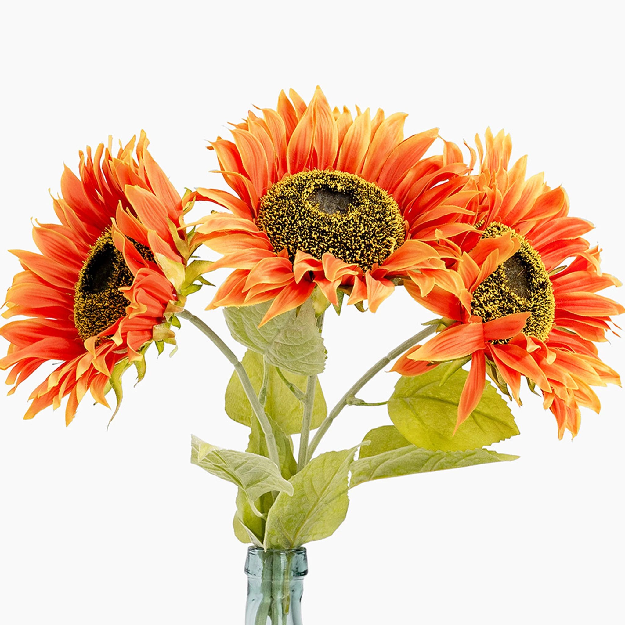 Sunflower stem - Image 6