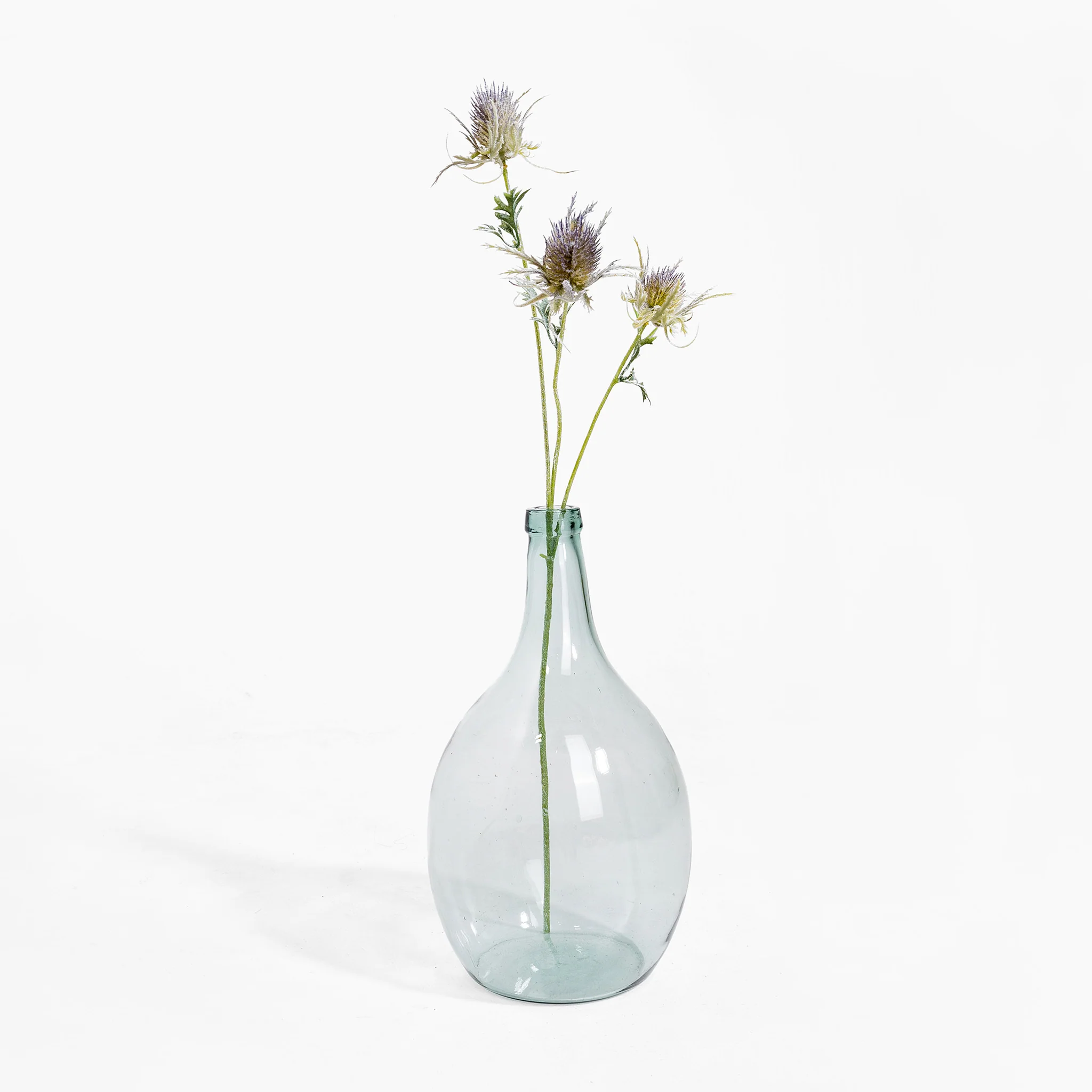 Thistle stem
