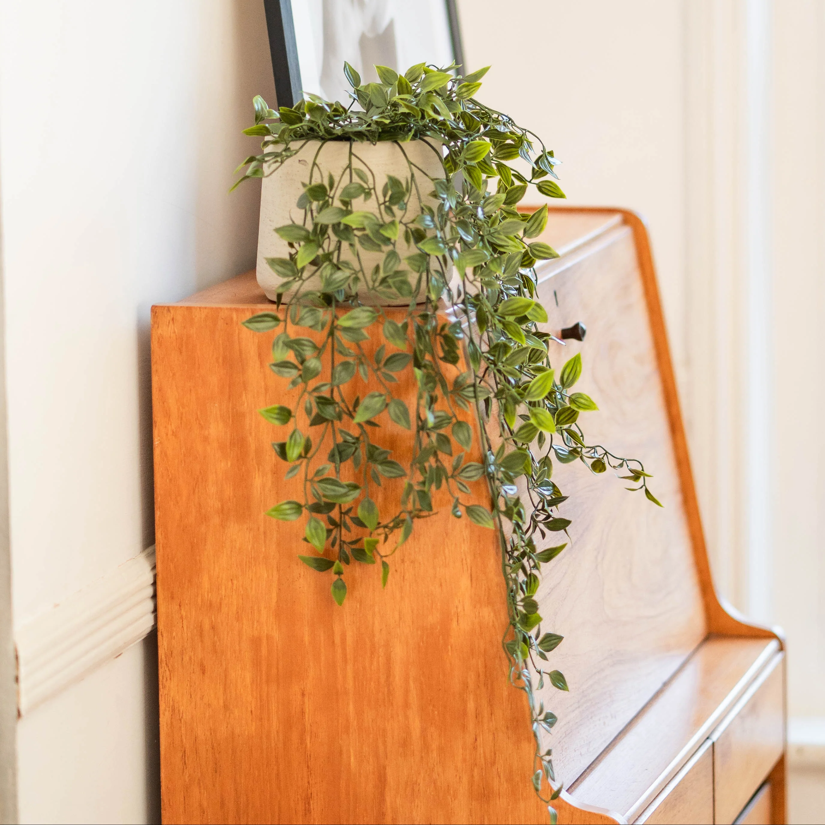Trailing foliage - Image 4