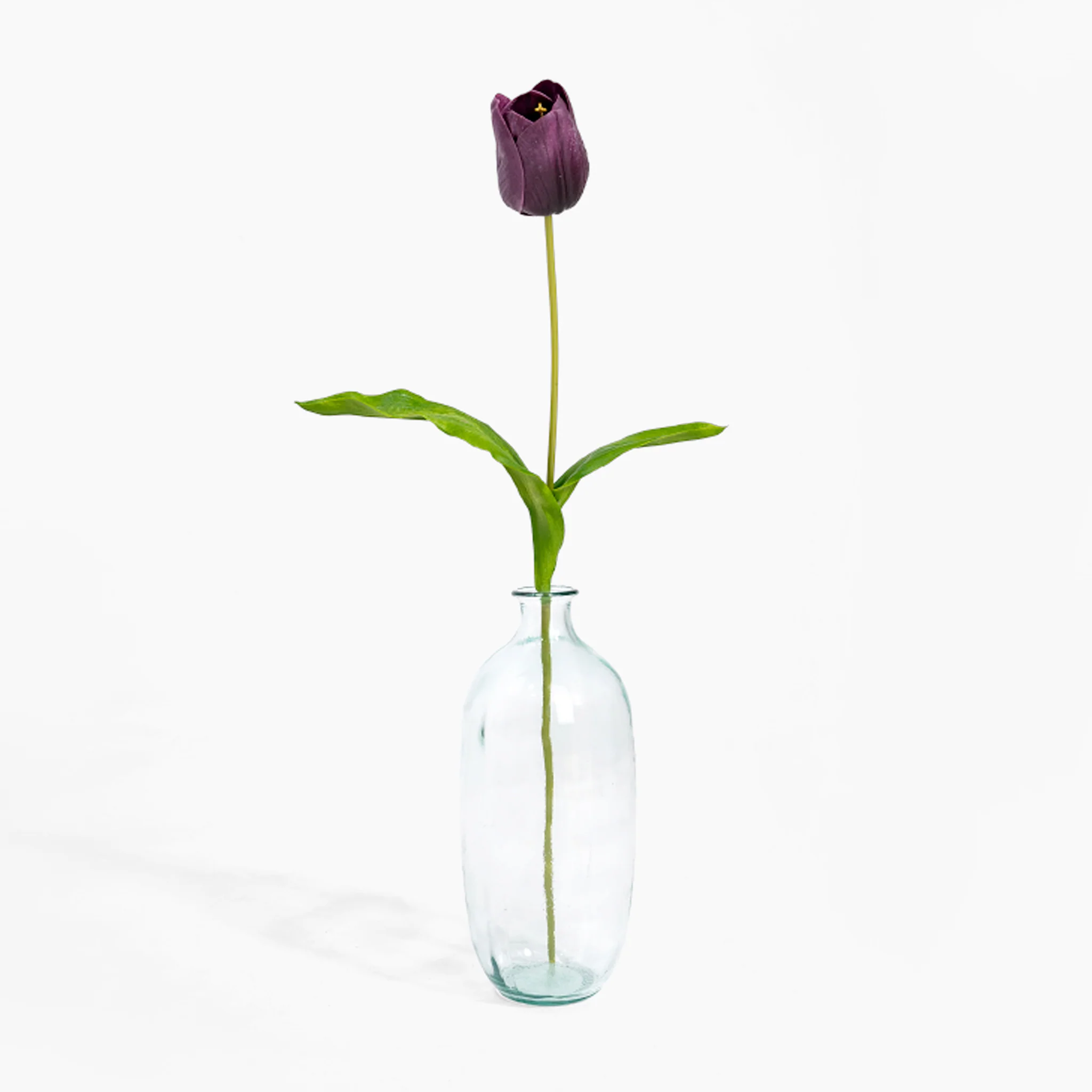 Tulip stem - Image 3