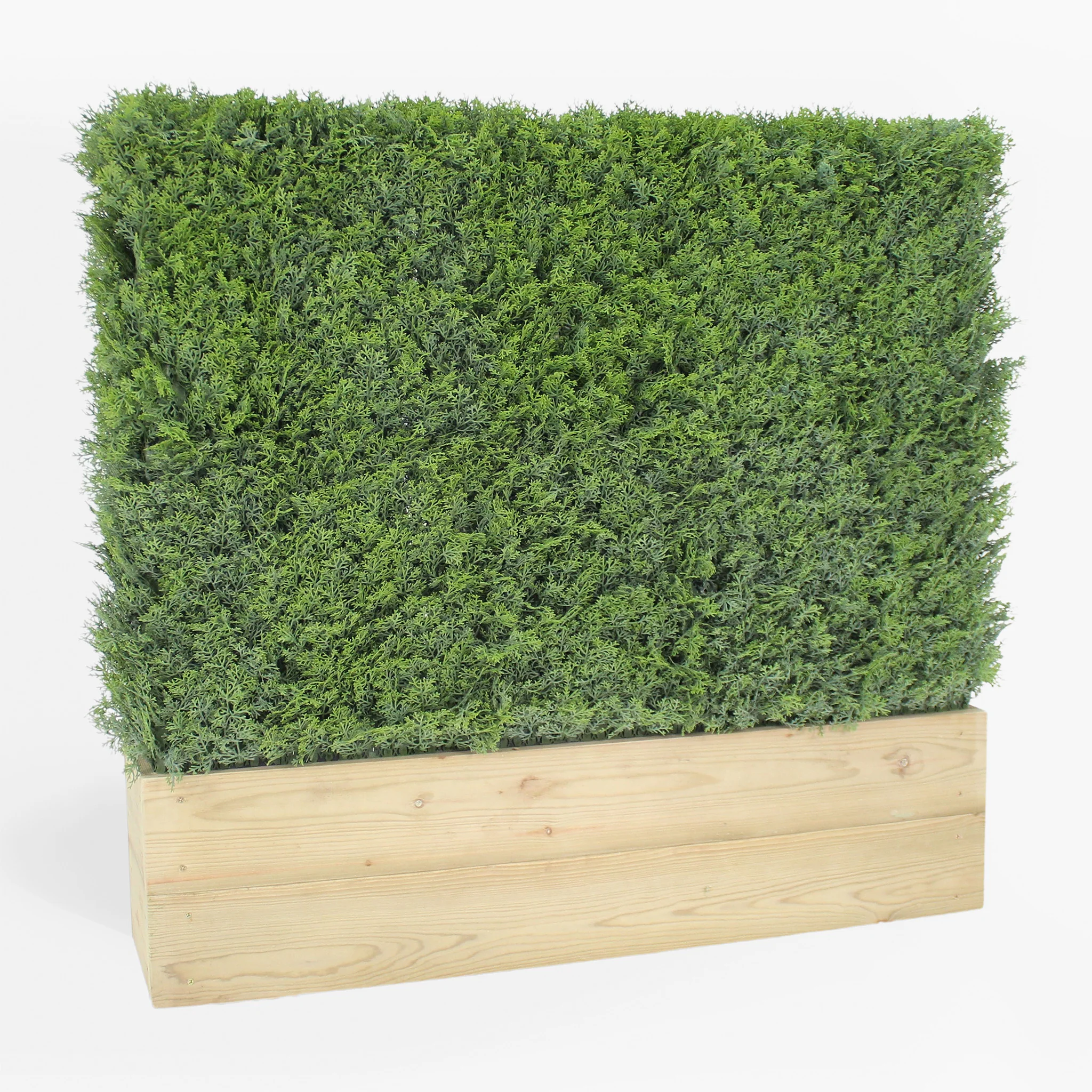Cedar hedge - 0.6m long - Image 3