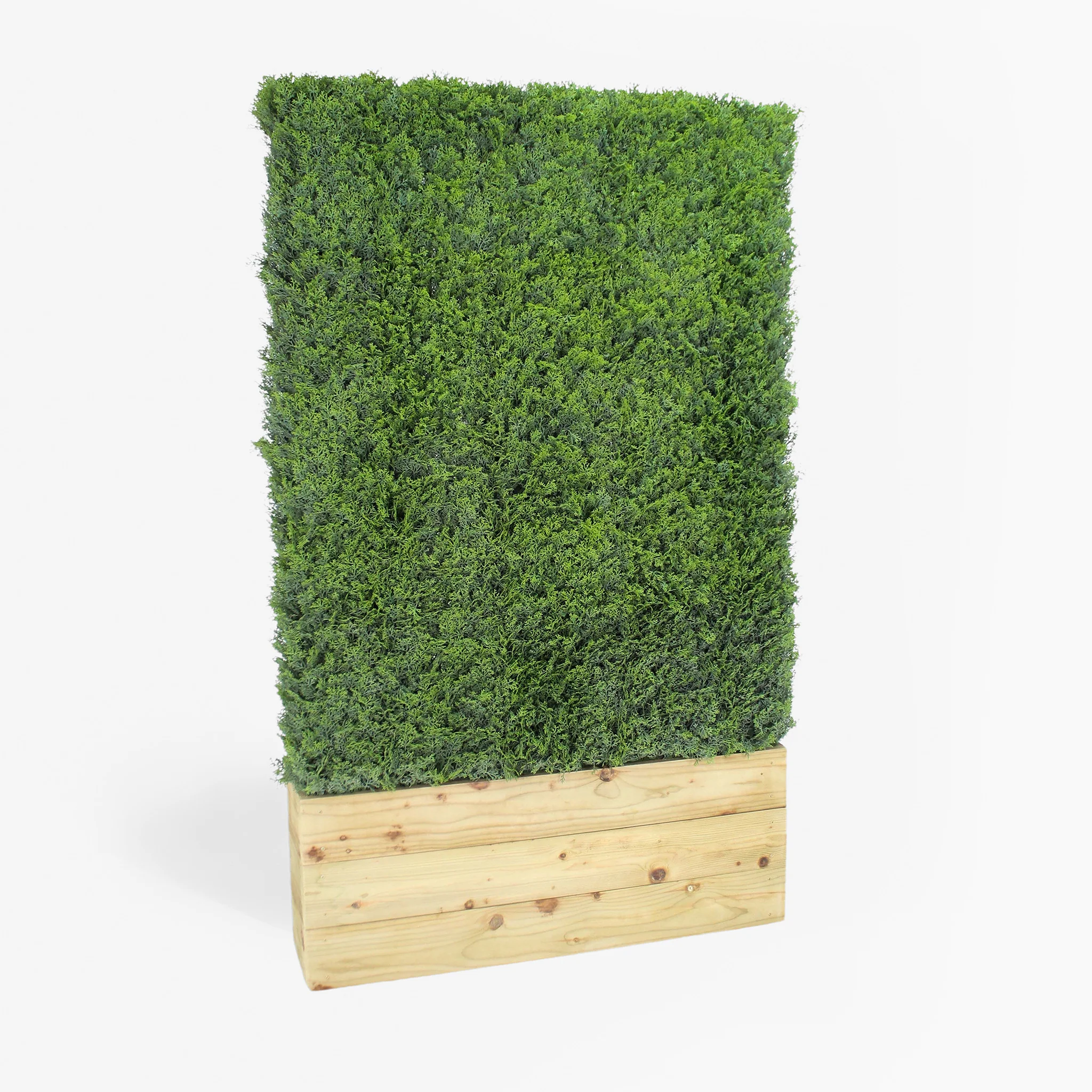Cedar hedge - 0.6m long - Image 7