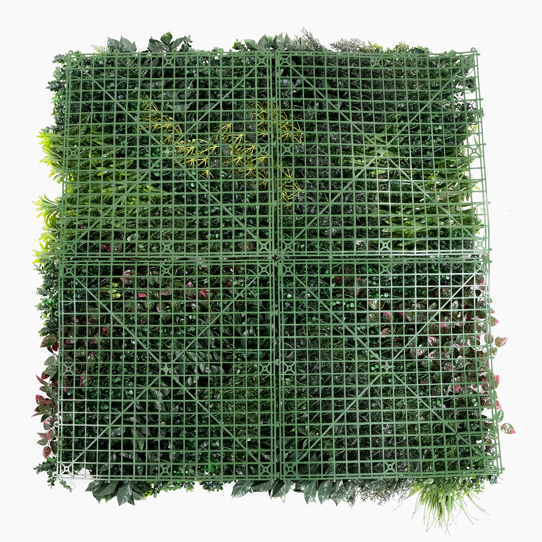 Danube green wall - Image 3