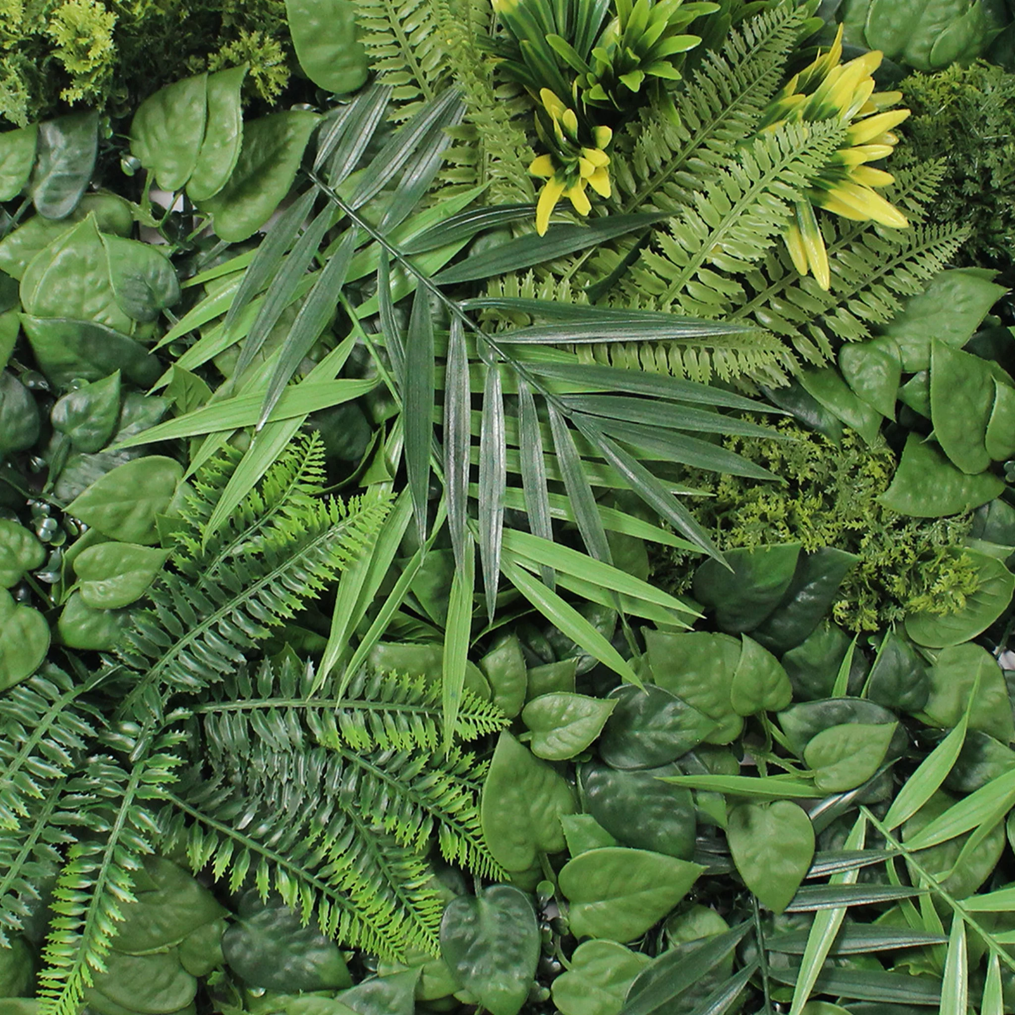 Paradise green wall  (8 pack) - Image 3