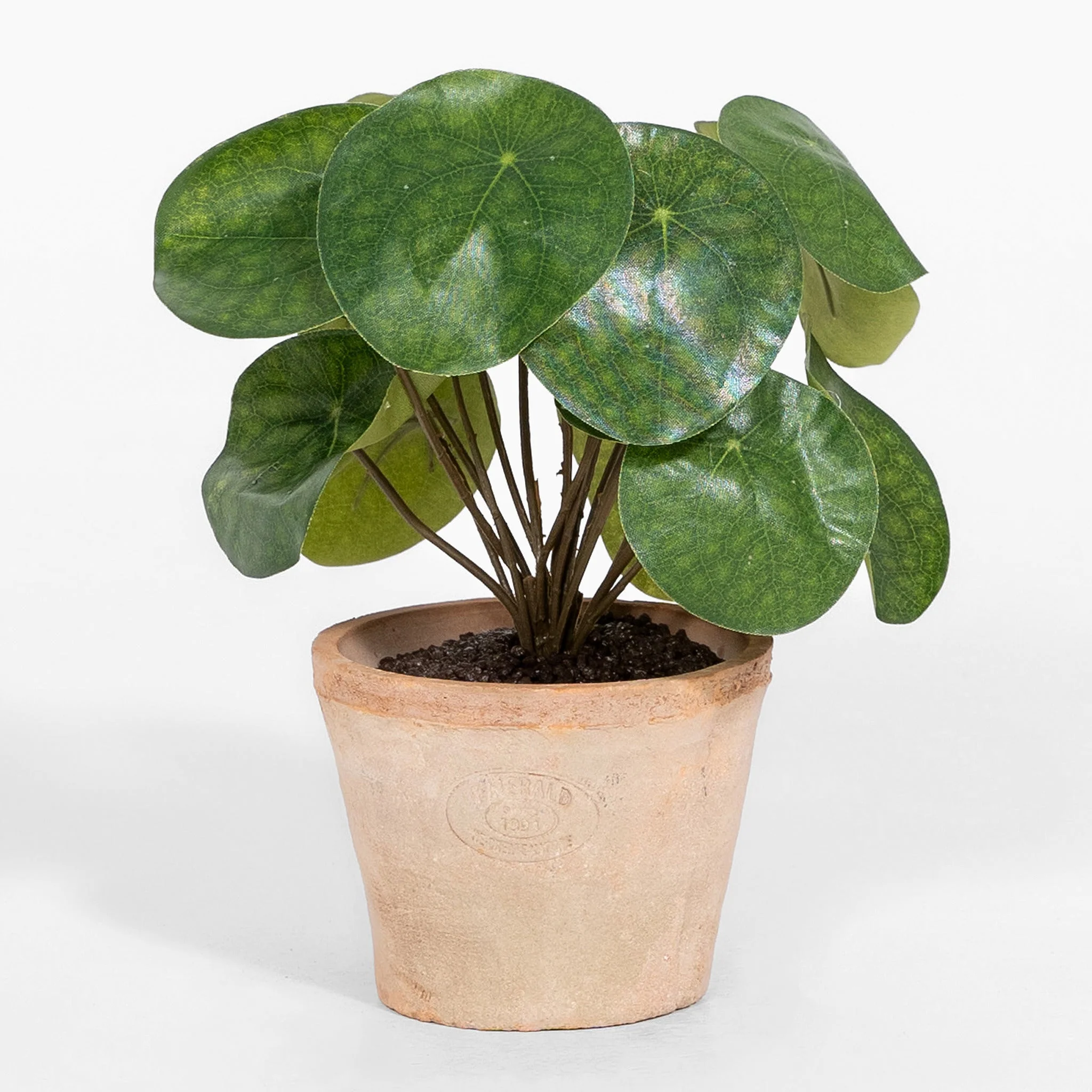Terracotta trio - Image 4