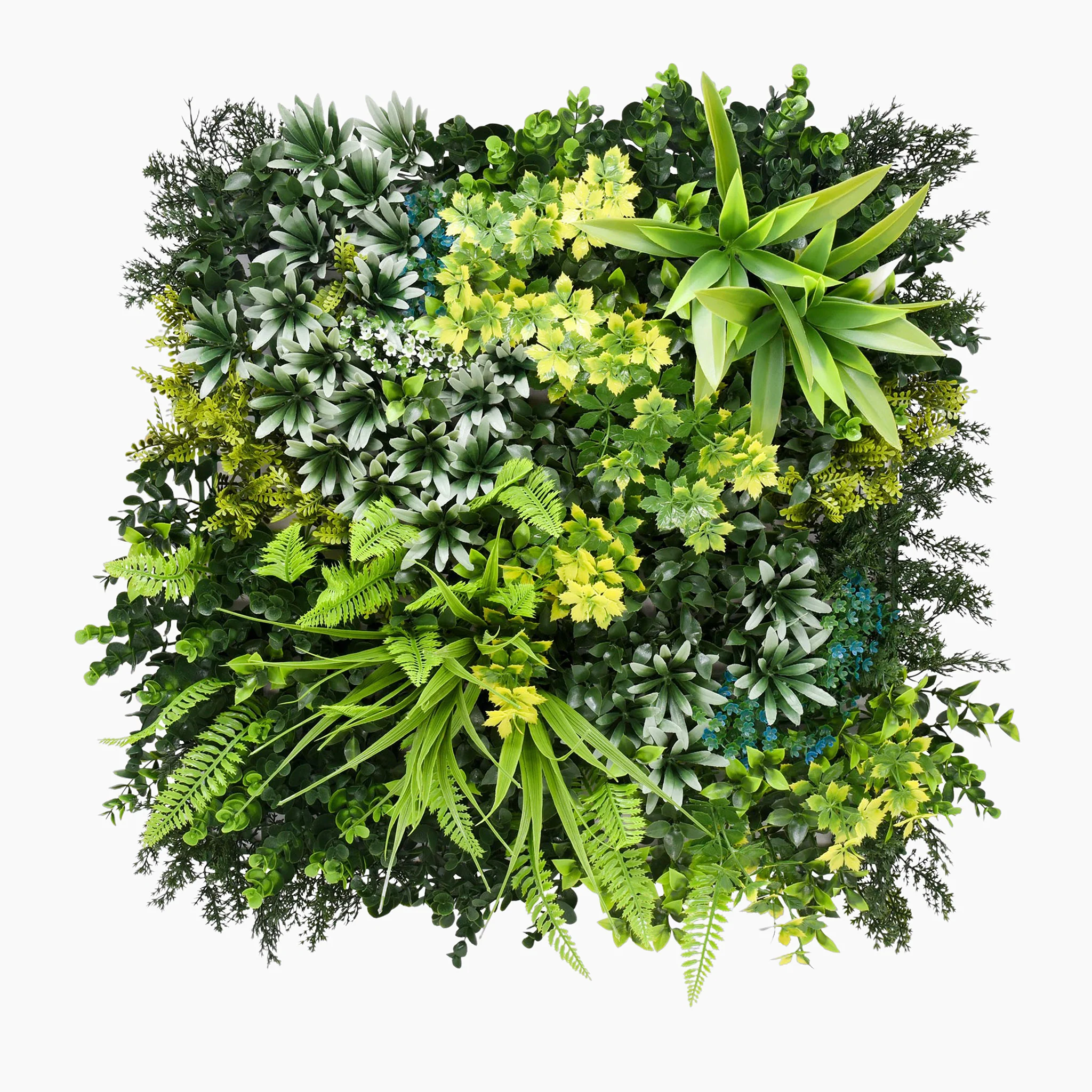 Vibrant medley green wall (3 pack) - Image 4